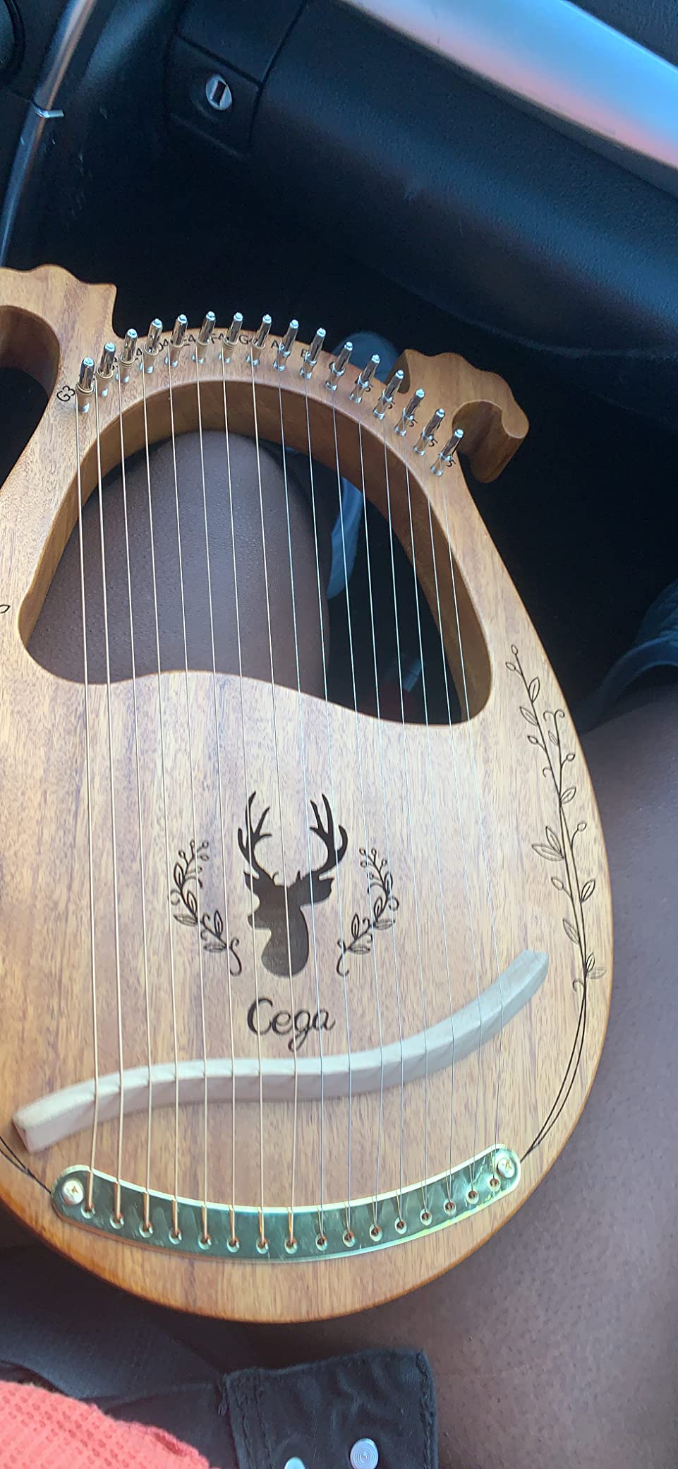 Lyre Harp, 16 Strings Mahogany Acoustic Harp with Extra Strings, Picks, Tuning Lever, Black Gig Bag, Beginner's Manual for Lyre customer photo 2