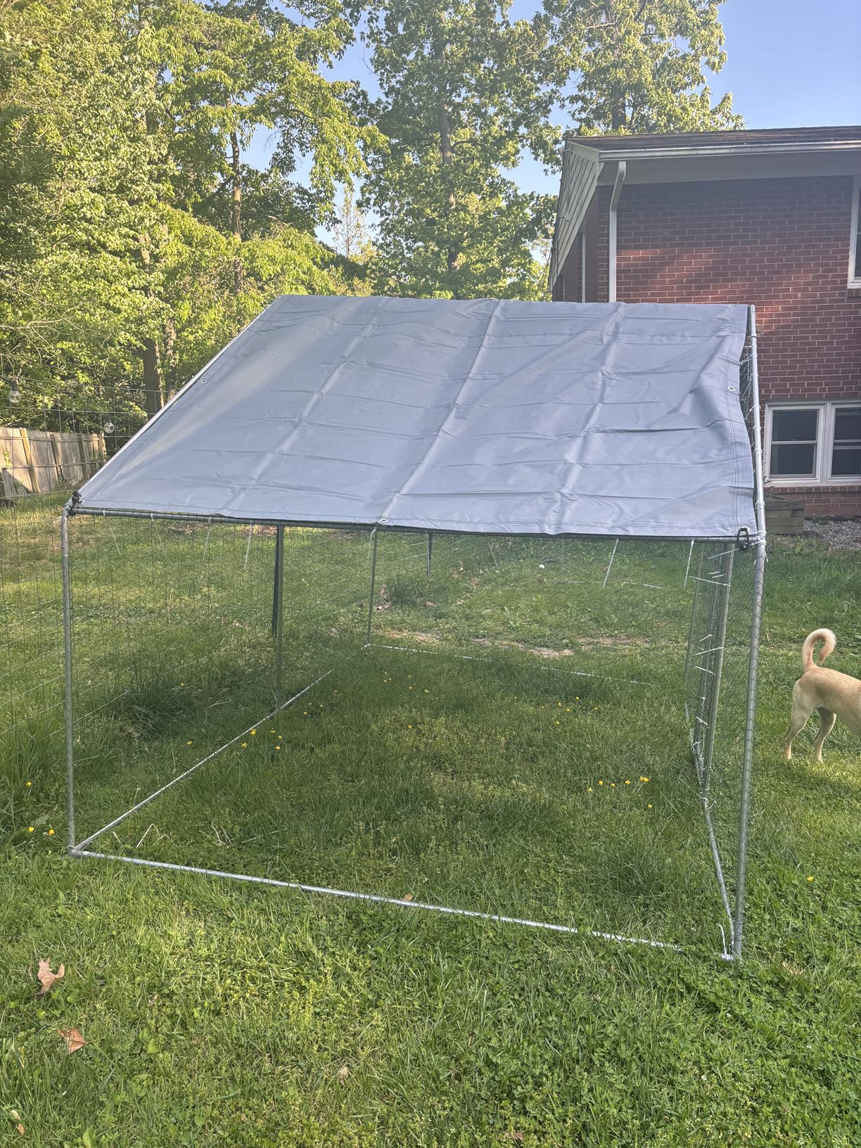 Large Metal Chicken Coop Round Top Upgrade Tri-Supporting Wire Mesh Chicken Run,Chicken Pen with Water-Resident and Anti-UV Cover,Duck Rabbit House Outdoor (Dome Roof 19'L x 9'W x 6.5'H) customer photo 2