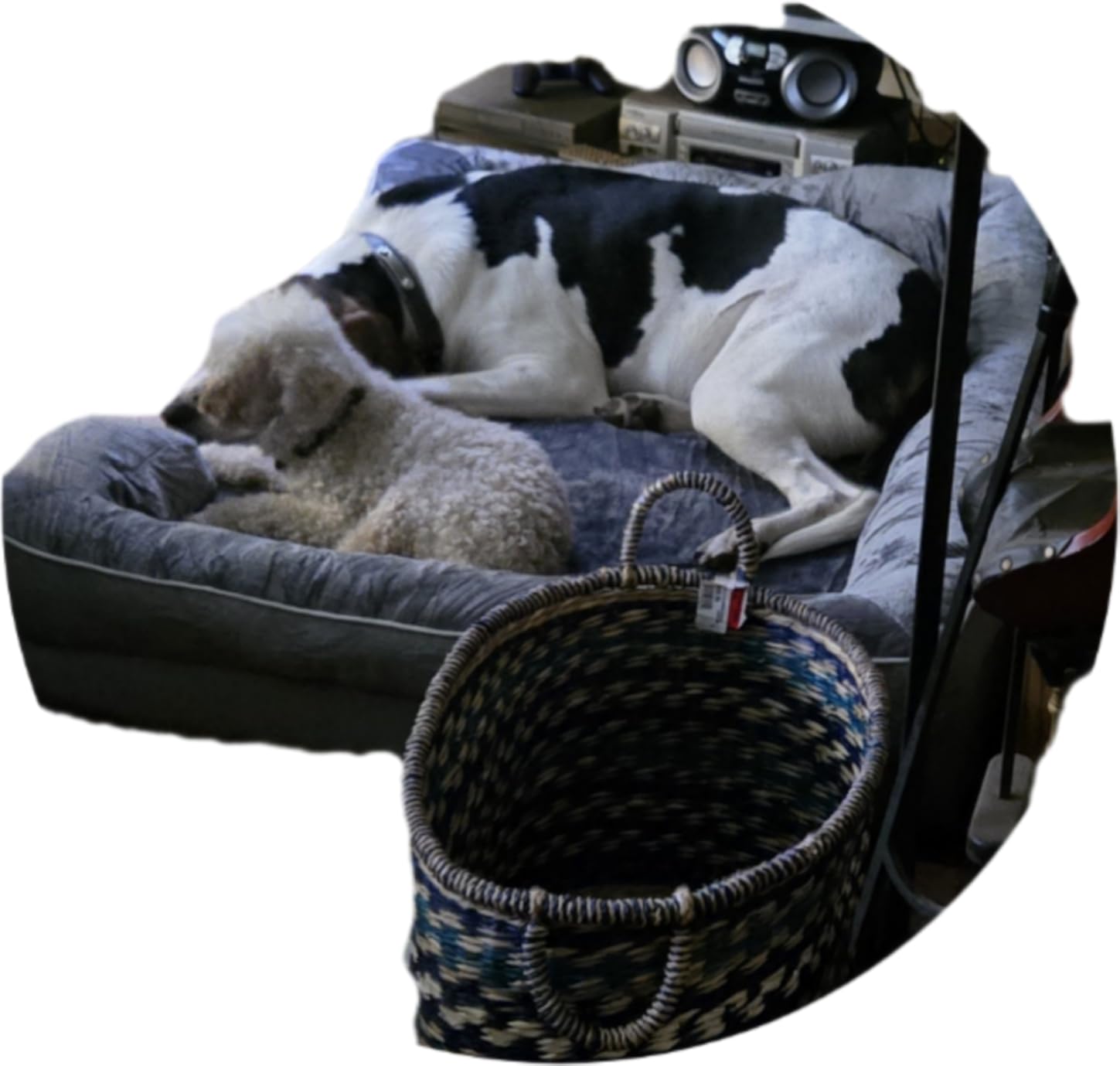 EHEYCIGA Orthopedic Dog Beds for Extra Large Dogs, Waterproof Memory Foam XL Pet Bed with Sides, Non-Slip and Egg-Crate Foam Big Dog Couch Bed with Washable Removable Cover, Grey customer photo 1