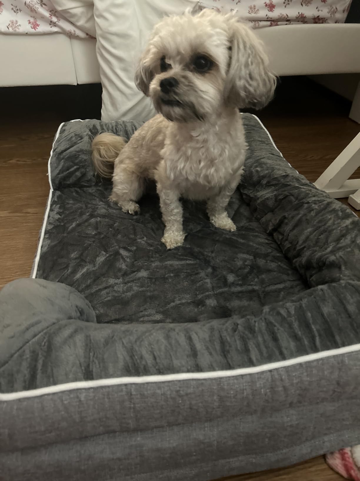 EHEYCIGA Orthopedic Dog Beds for Extra Large Dogs, Waterproof Memory Foam XL Pet Bed with Sides, Non-Slip and Egg-Crate Foam Big Dog Couch Bed with Washable Removable Cover, Grey customer photo 2