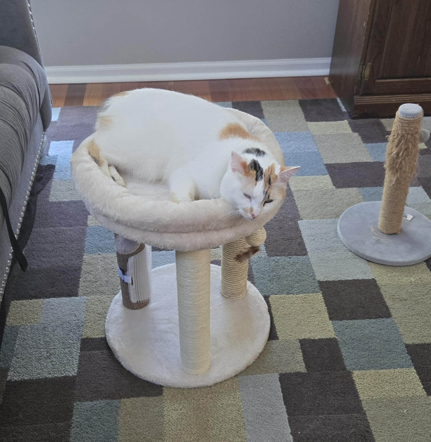 MECOOL 4in1 Small Cat Tree, Scratching Post with Tower Soft Bed, Sisal Carpet Jute Posts with Three Hanging Ball Toys and Massage Brush for Indoor Cats and Kittens customer photo 1