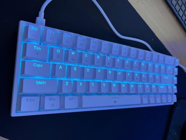 DIERYA T68SE 60% Gaming Mechanical Keyboard, Ultra Compact Mini 68 Key with Red Switches Wired Keyboard, Anti-Ghosting Keys customer photo 2