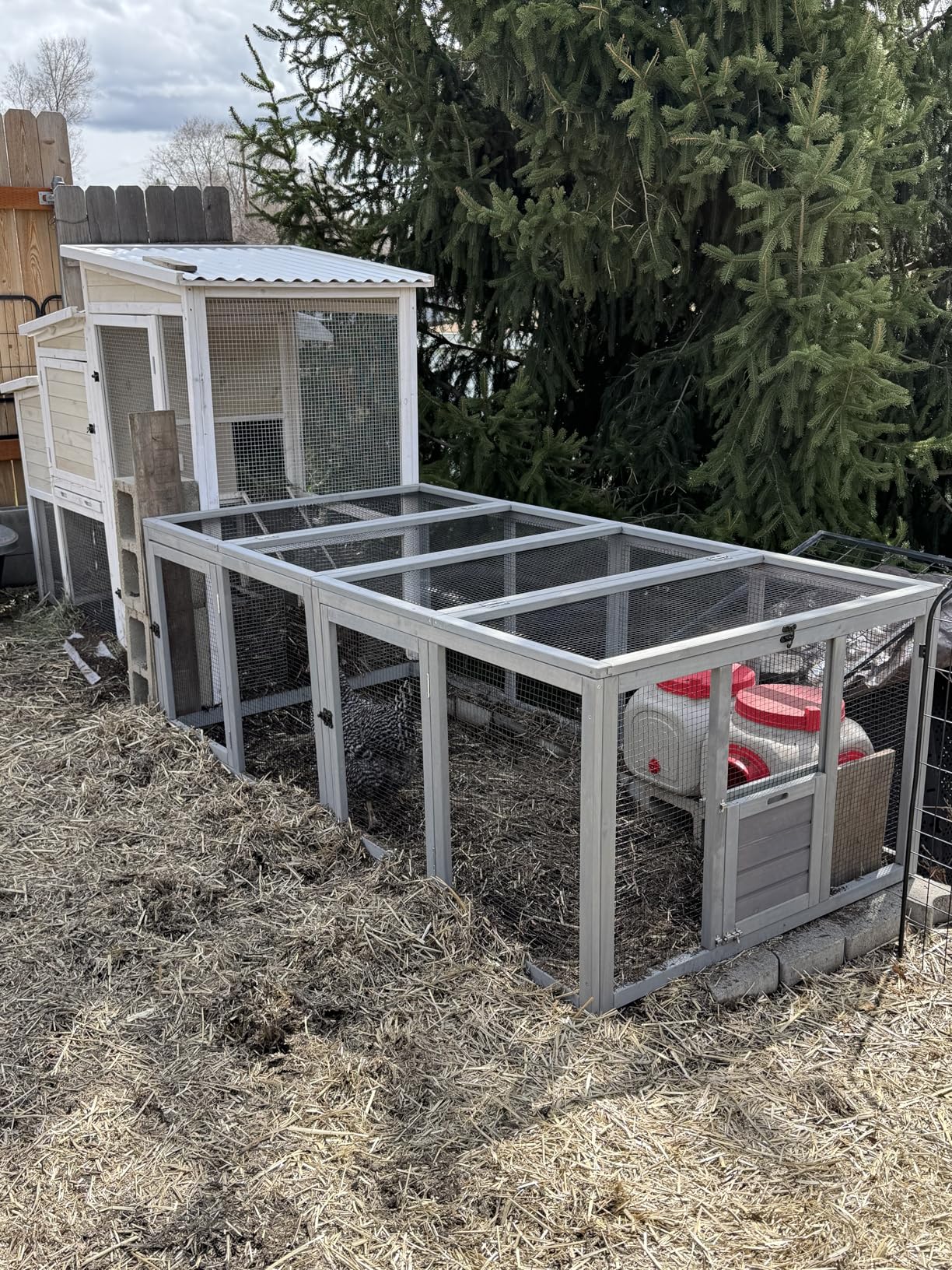 Aivituvin Chicken Coop Run Extension Rabbit Enclosure Outdoor Duck Playpen 20.73 ft² customer photo 1