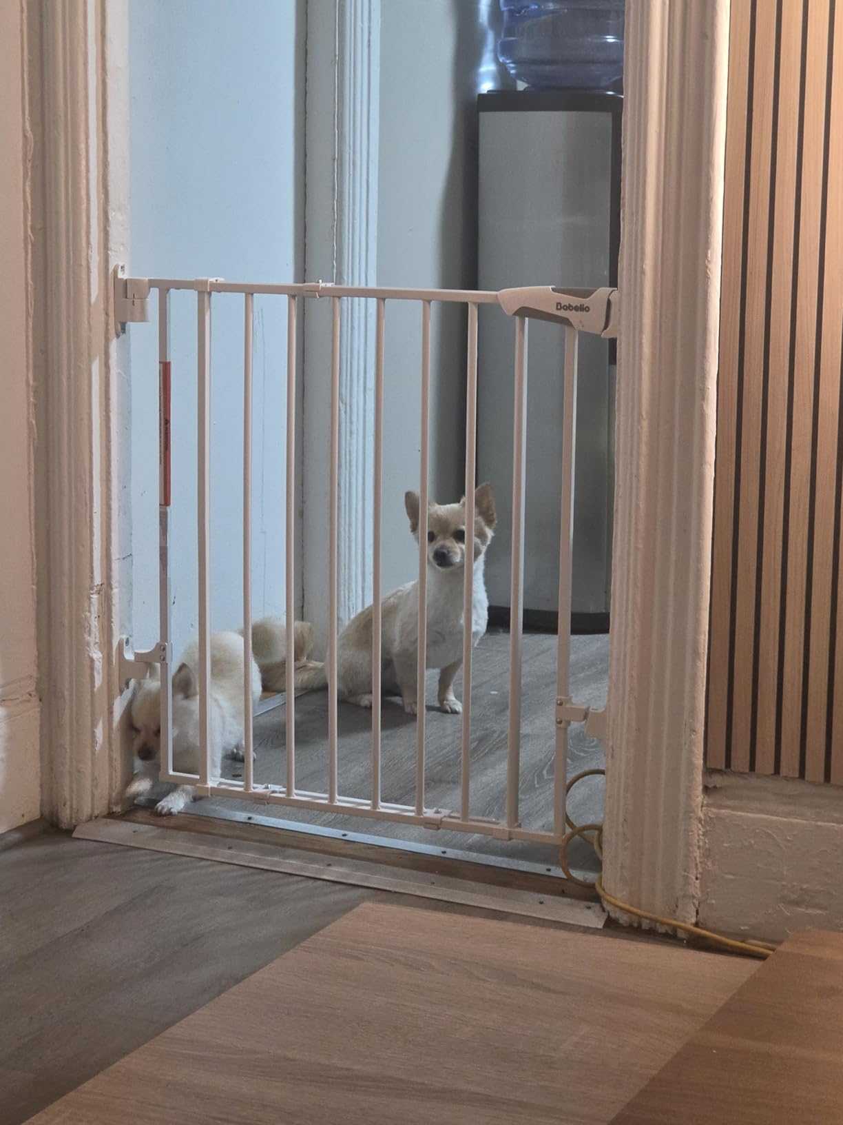 Babelio Baby Gate for Stairs, Kitchen & Doorways, 26-43