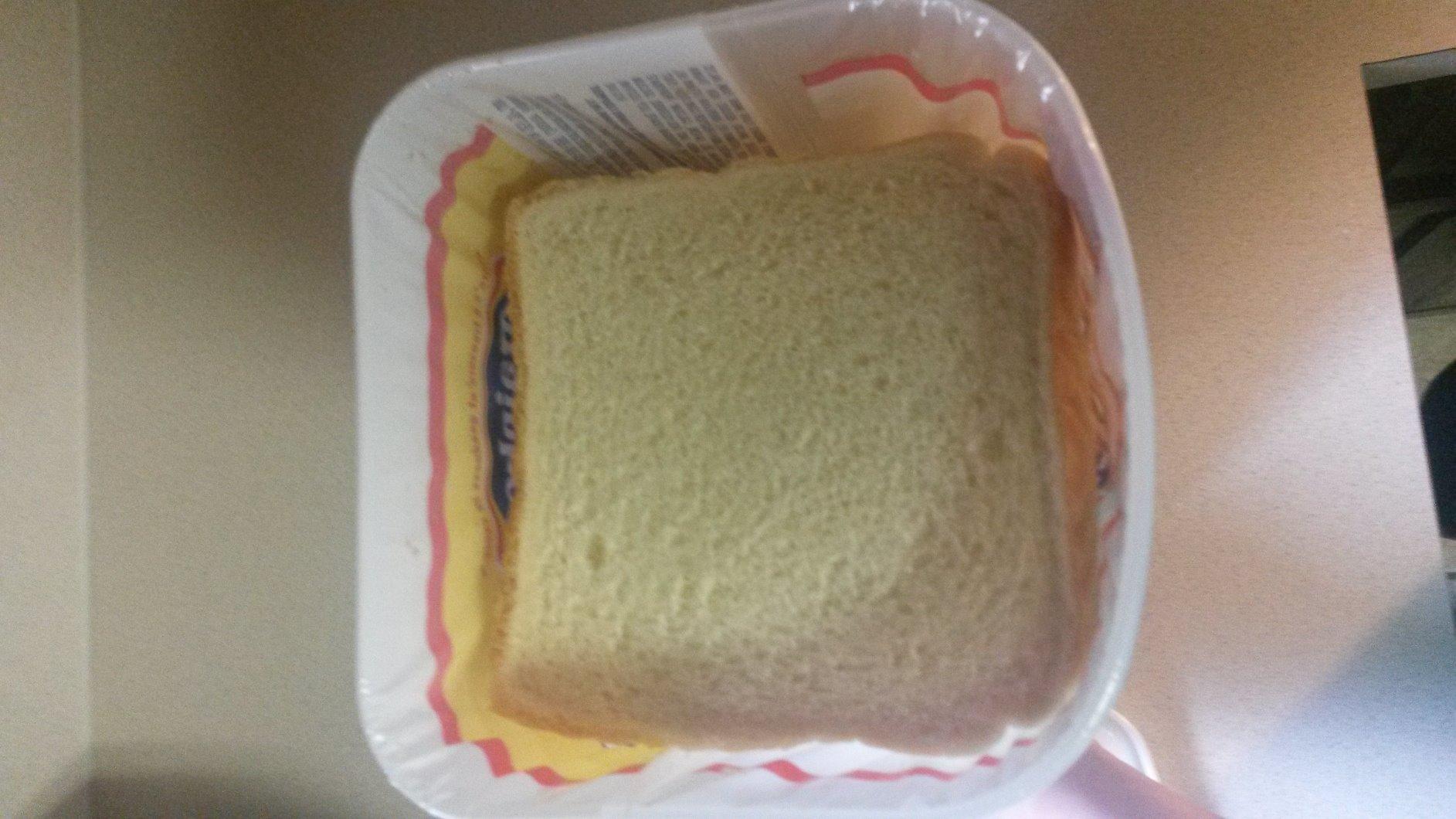 Buddeez Bread Buddy Bread Box - Keeps Loaves Fresh - Holds 1 Loaf of Sandwich Size Bread customer photo 2