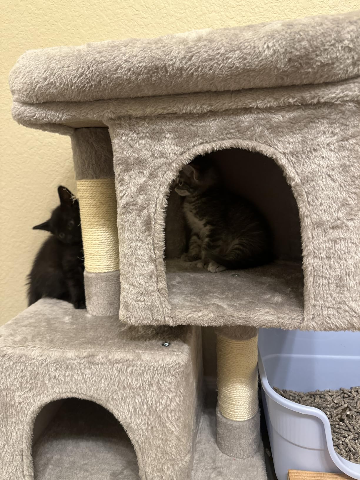 Feandrea Cat Tree, 40.6-Inch Cat Tower, Plush Condo for Extra Large Cats up to 44 lb, Large Perch, 2 Caves, Scratching Post, Light Gray UPCT614W01 customer photo 1