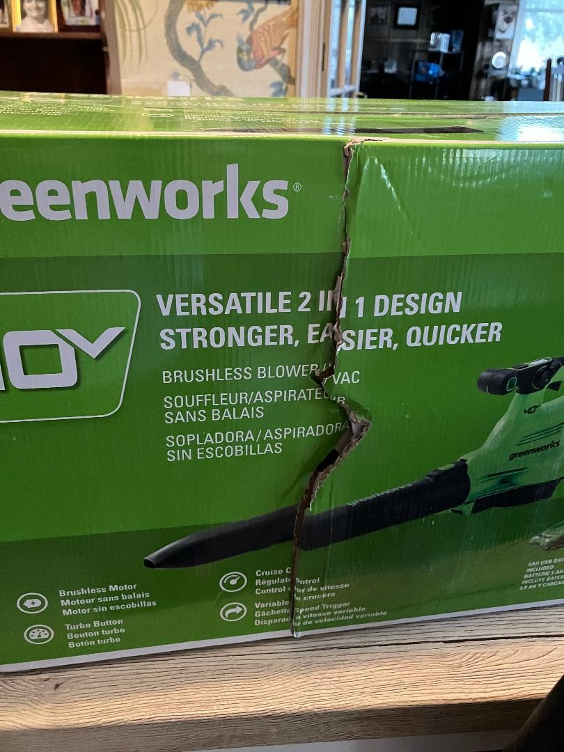 Greenworks 40V (230 MPH / 505 CFM) Cordless Brushless Leaf Blower/Vacuum with Bag, High Power, Lightweight & Quiet for Yard Debris Cleanup, Includes 5.0Ah Battery & Charger customer photo 2