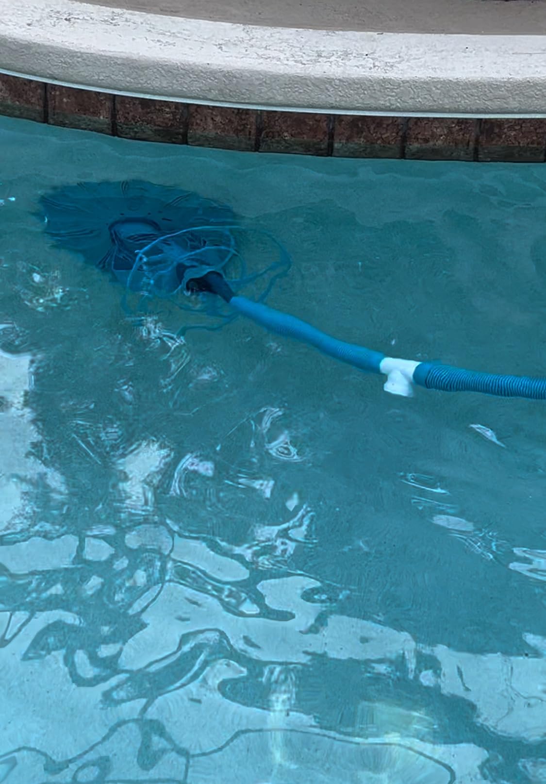 U.S. Pool Supply Octopus Suction Pool Cleaner, Inground Automatic Pool Vacuum Cleaner with Hose - Swimming Sweeper Vac Cleaning Suction-Side Cleaners - Auto Creepy Sweeps Removes Debris, Leaves Cleans customer photo 1