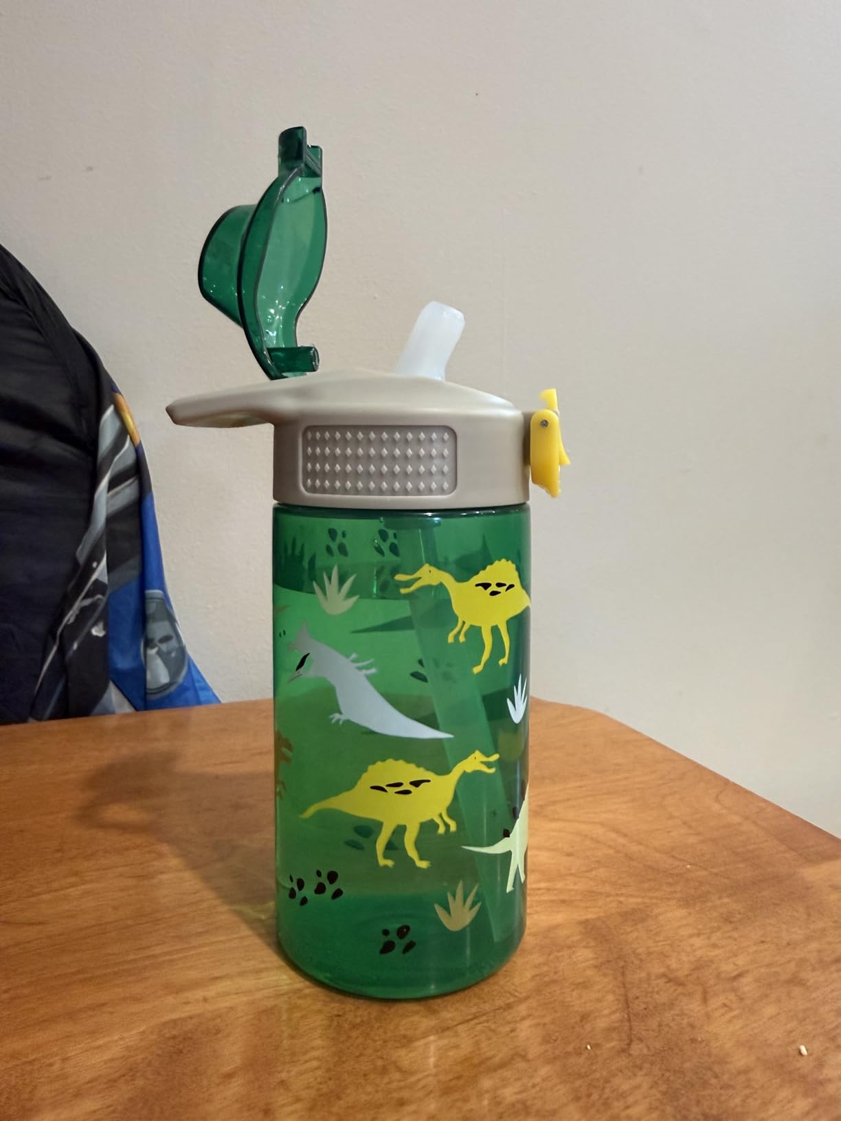Zak Designs Kids Water Bottle For School or Travel, 16oz Durable Plastic Water Bottle With Straw, Handle, and Leak-Proof, Pop-Up Spout Cover (Dinosaur) customer photo 1