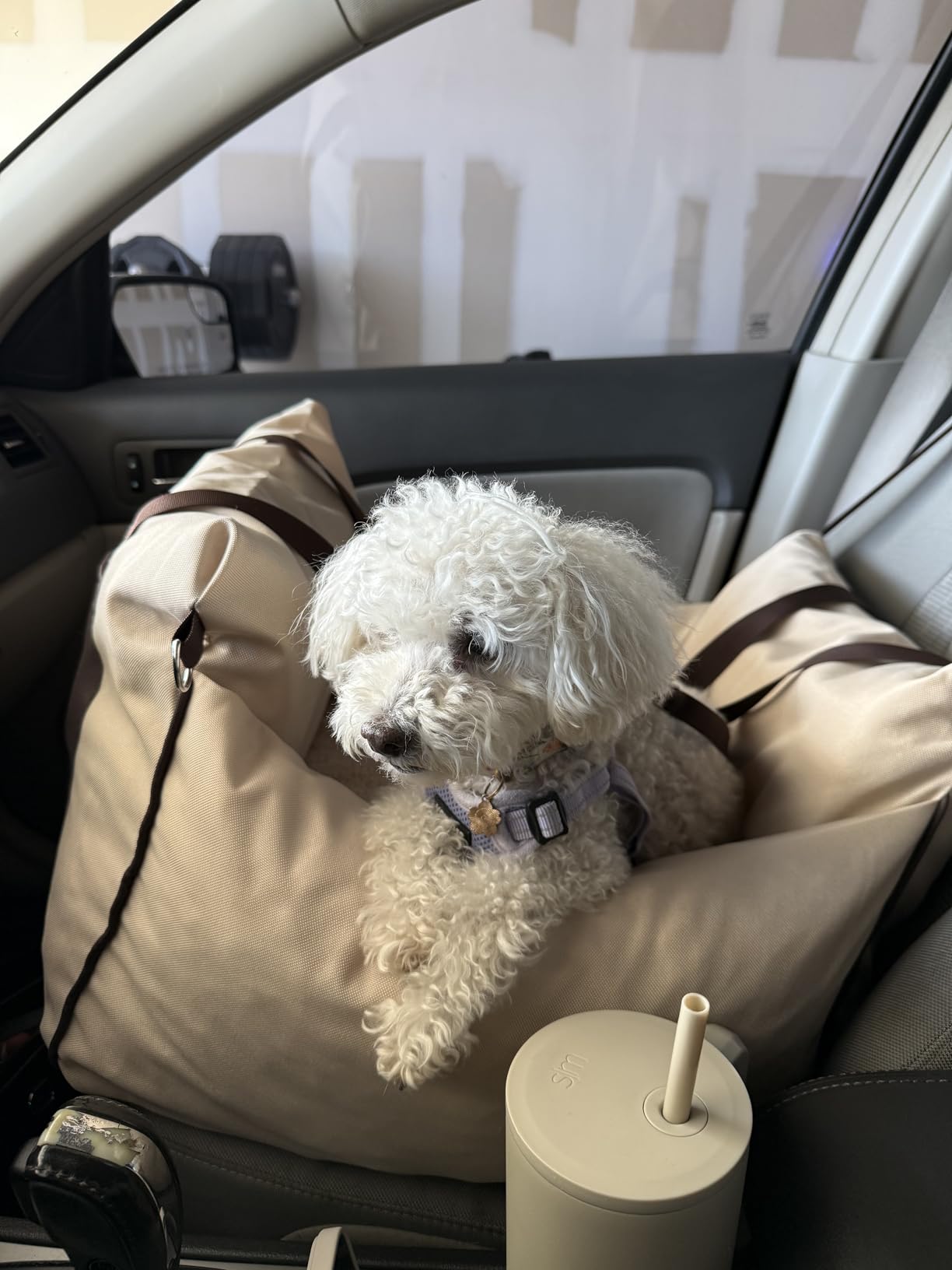 Lesure Small Dog Car Seat for Small Dogs - Dog Booster Seat for Car with Waterproof Bottom, Clip-On Safety Leash and Thickened Memory Foam Filling, Pet Carseat Puppy Travel Carrier Bed, Beige customer photo 1