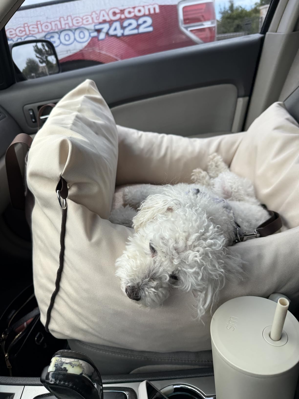 Lesure Small Dog Car Seat for Small Dogs - Dog Booster Seat for Car with Waterproof Bottom, Clip-On Safety Leash and Thickened Memory Foam Filling, Pet Carseat Puppy Travel Carrier Bed, Beige customer photo 2