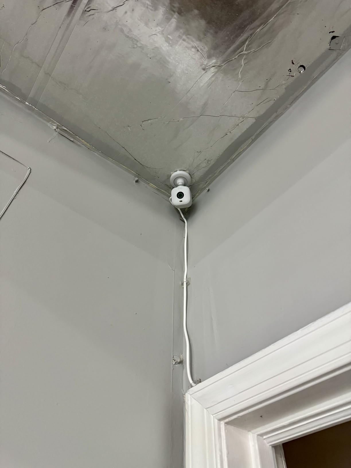 Mini 2 - Home Security & Pet Camera with HD video, color night view, motion detection, two-way audio, and built-in spotlight - 1 camera (White) customer photo 2
