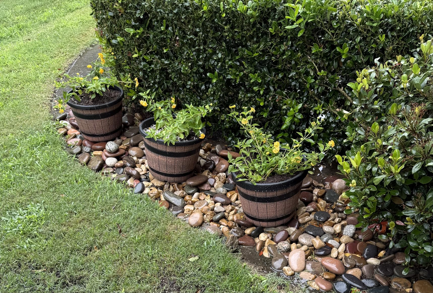 Quarut Large Plastic 3 Pack 16 inch Plant Pots, Whiskey Barrel Planters with Drainage Holes & Saucer, Flower Pots Imitation Wine Barrel Design for Indoor & Outdoor Garden Balcony Plants, 7 Gallons (Brown) customer photo 2