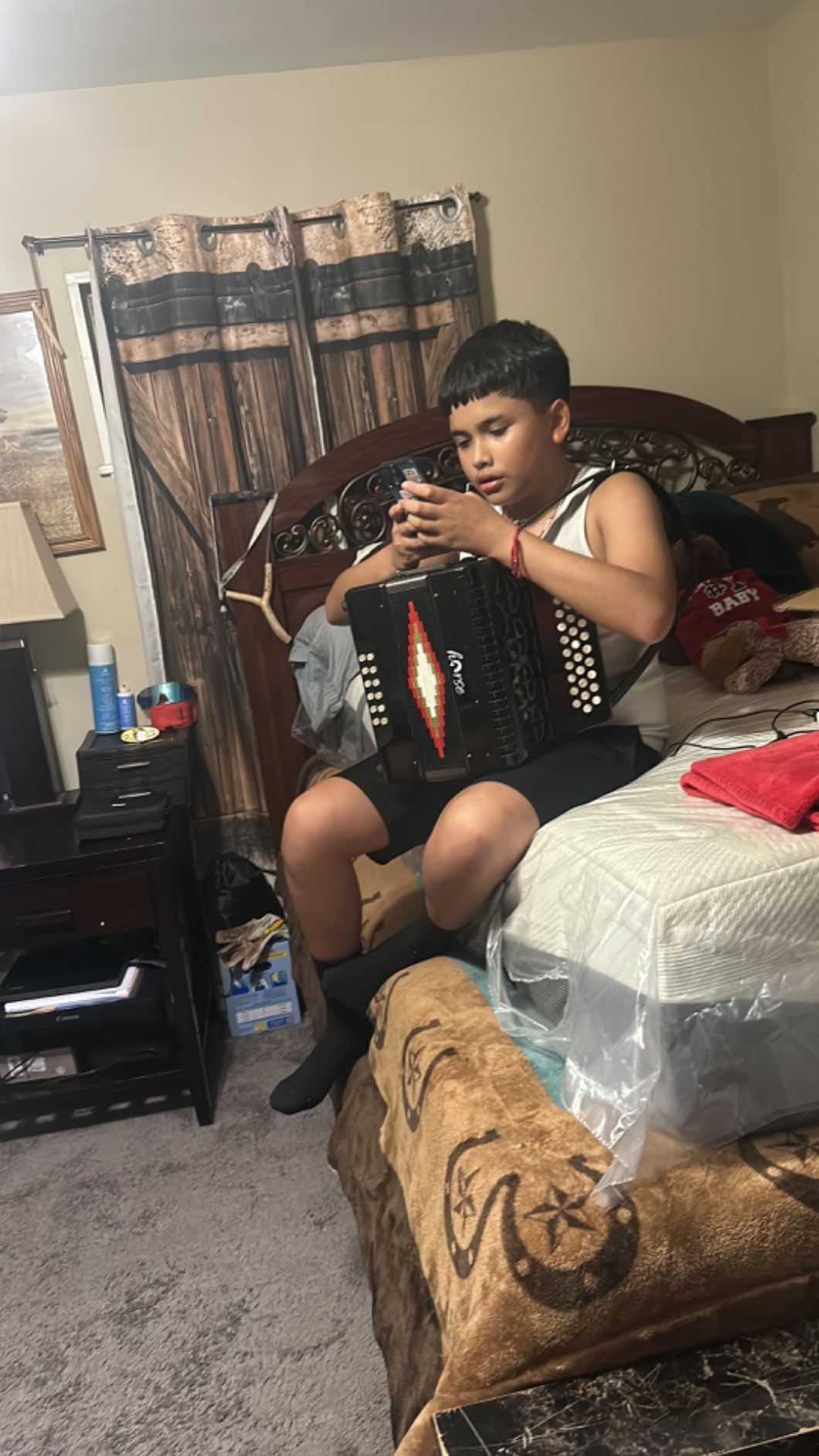 Horse 31 Key Accordion, 12 Bass 3-Row F/B/E Diatonic Accordions Instruments for Adults customer photo 1