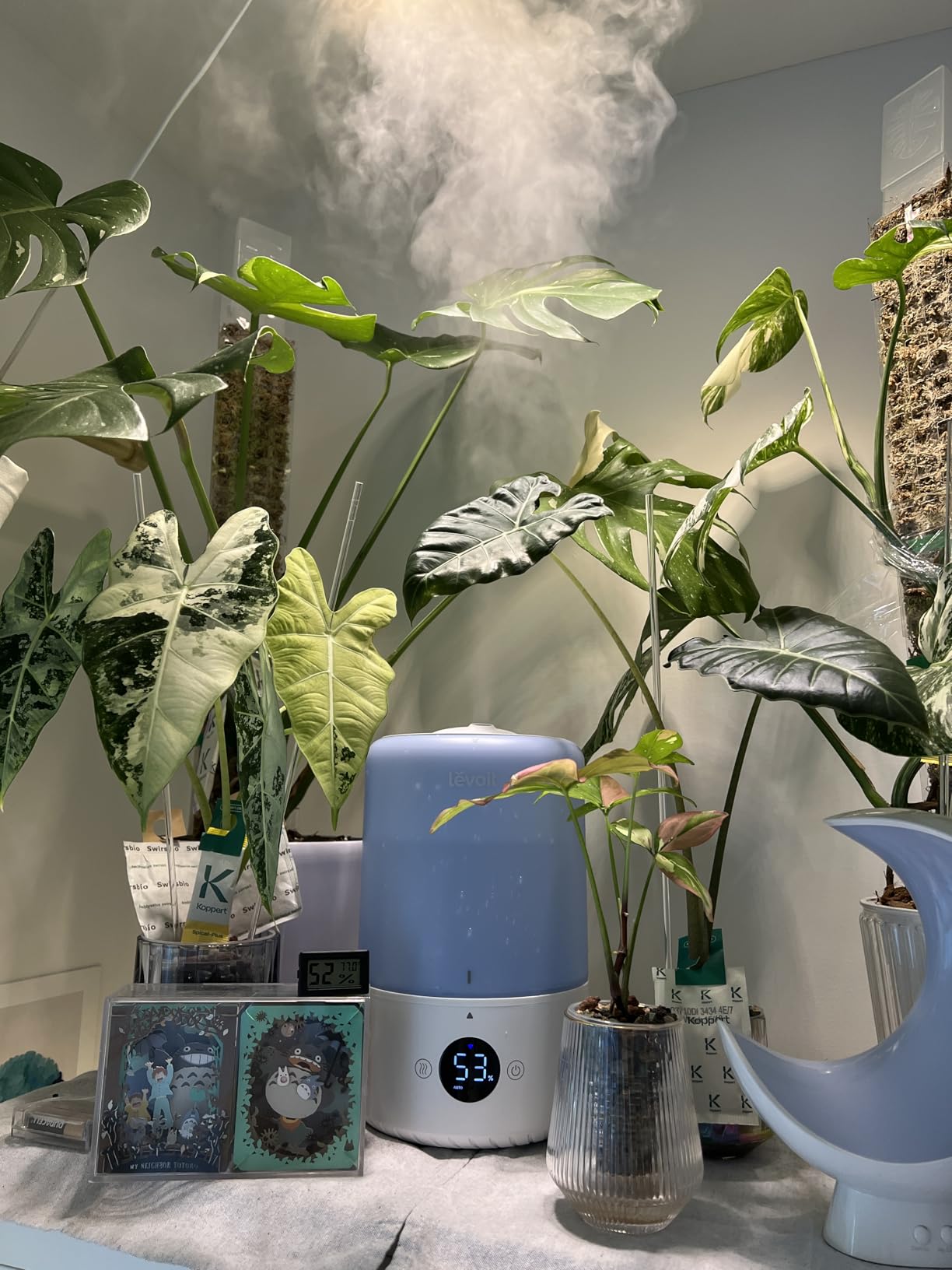LEVOIT Dual 200S Smart Humidifiers for Bedroom, Top Fill, Customize Humidity for Home, Baby Nursery & Plants with Humidistat, Essential Oil Diffuser, Schedule, Timer, APP & Voice Control, 3L, Blue customer photo 2