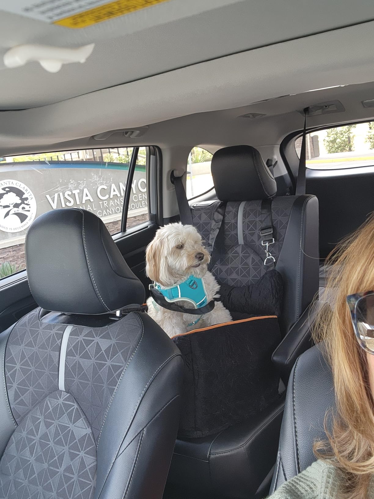 Dog Car Seat - Memory Foam Dog Booster Seat for Small Dogs Up to 25lbs-Elevated Pet Car Seat with Storage Pockets and Dog Seat Belt-Soft Pet Travel Bed for Front & Back Seats-Removable Washable-Grey customer photo 1