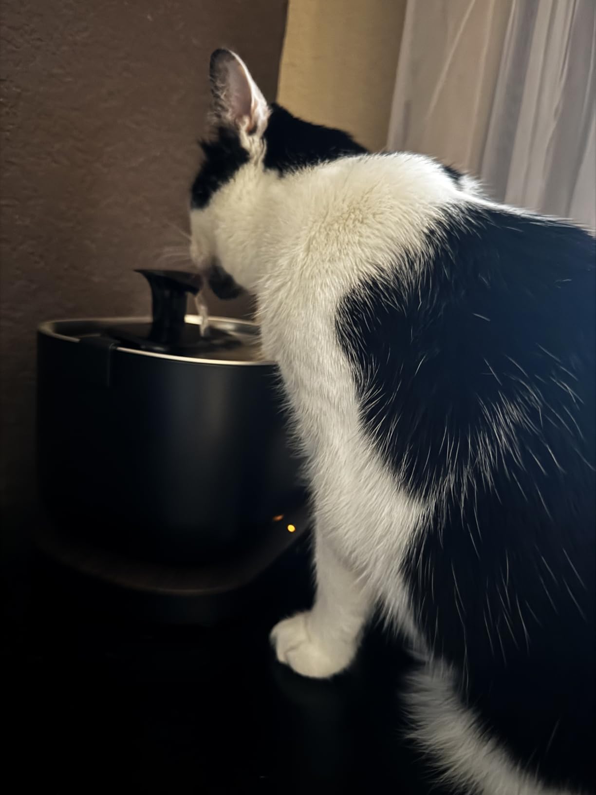 PETLIBRO Cat Water Fountain, App Monitoring Pet Fountains for Cats Indoor with Stainless Steel Tray, 2.5L/84oz Dockstream Automatic Water Dispenser for Drinking, 2.4G Wi-Fi Smart Bowl Inside customer photo 1