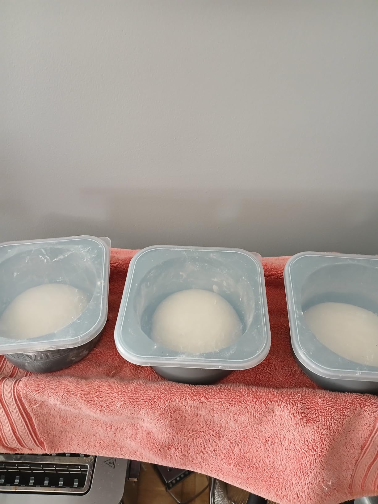 PLUS Large 1000ml Pizza Dough Proofing Boxes for DIY Artisan Pizza, Food Grade Silicone Stackable Containers with Lids. Freezer, Fridge, Dishwasher Safe (3Space Grey Plus) customer photo 1