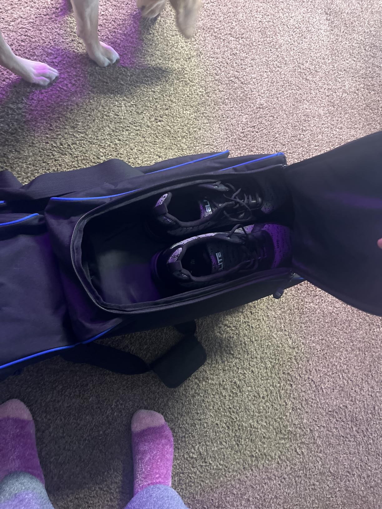 Goloni 3 Ball Bowling Bags with Wheels - Rolling Bowling Bag for 3 Balls & Accessories - Retractable Handle Extends to 38 customer photo 2