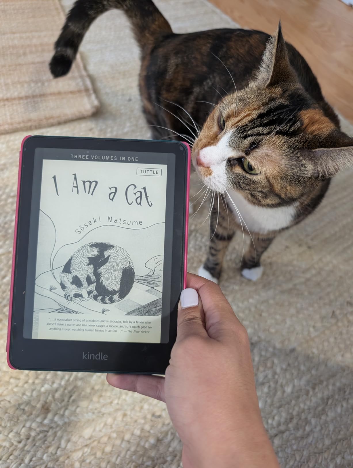 Kindle Paperwhite and Kindle Colorsoft Case, Lightweight and Water-Safe, Foldable Protective Cover - Fabric customer photo 2