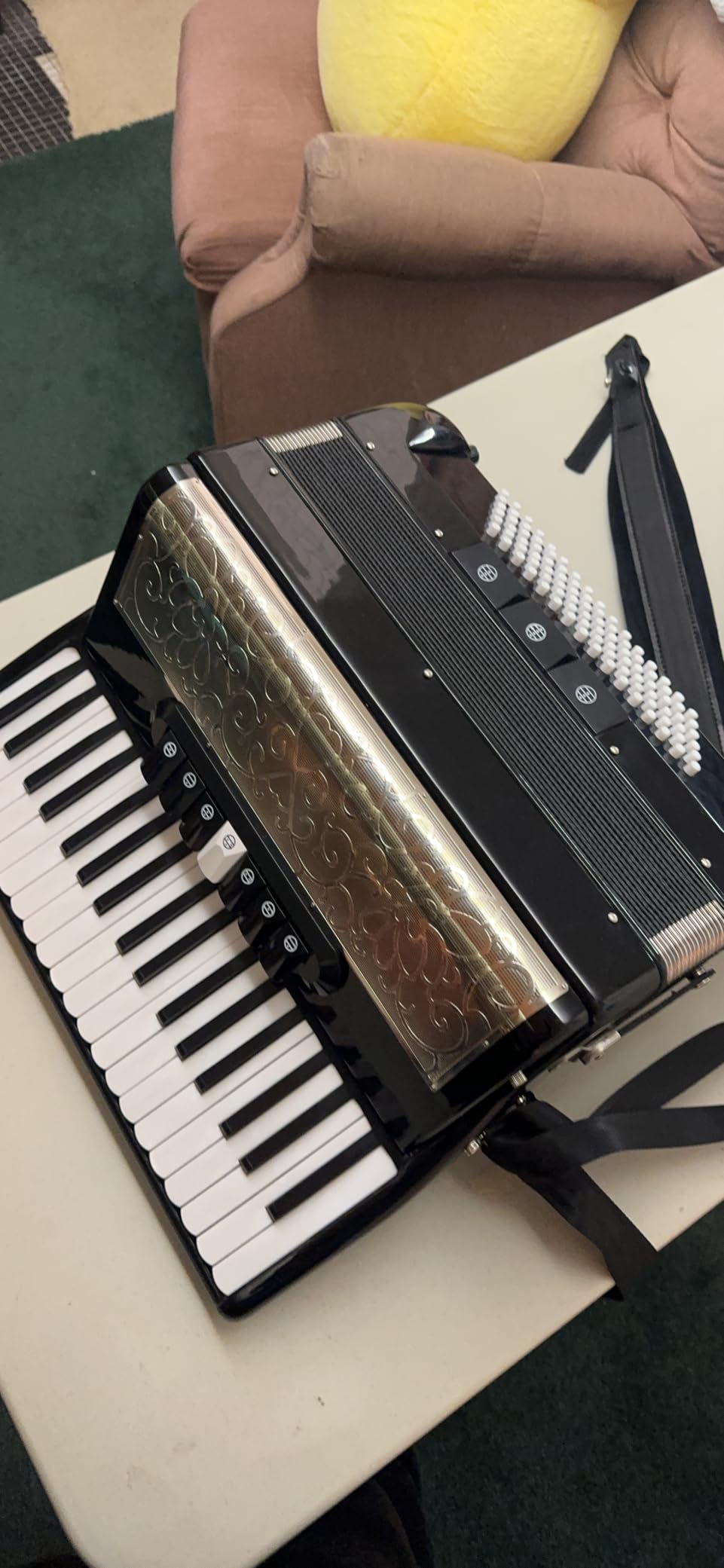 Accordion - 37 Key 96 Bass Professional Model for Beginners to Advanced Players (Black) customer photo 1