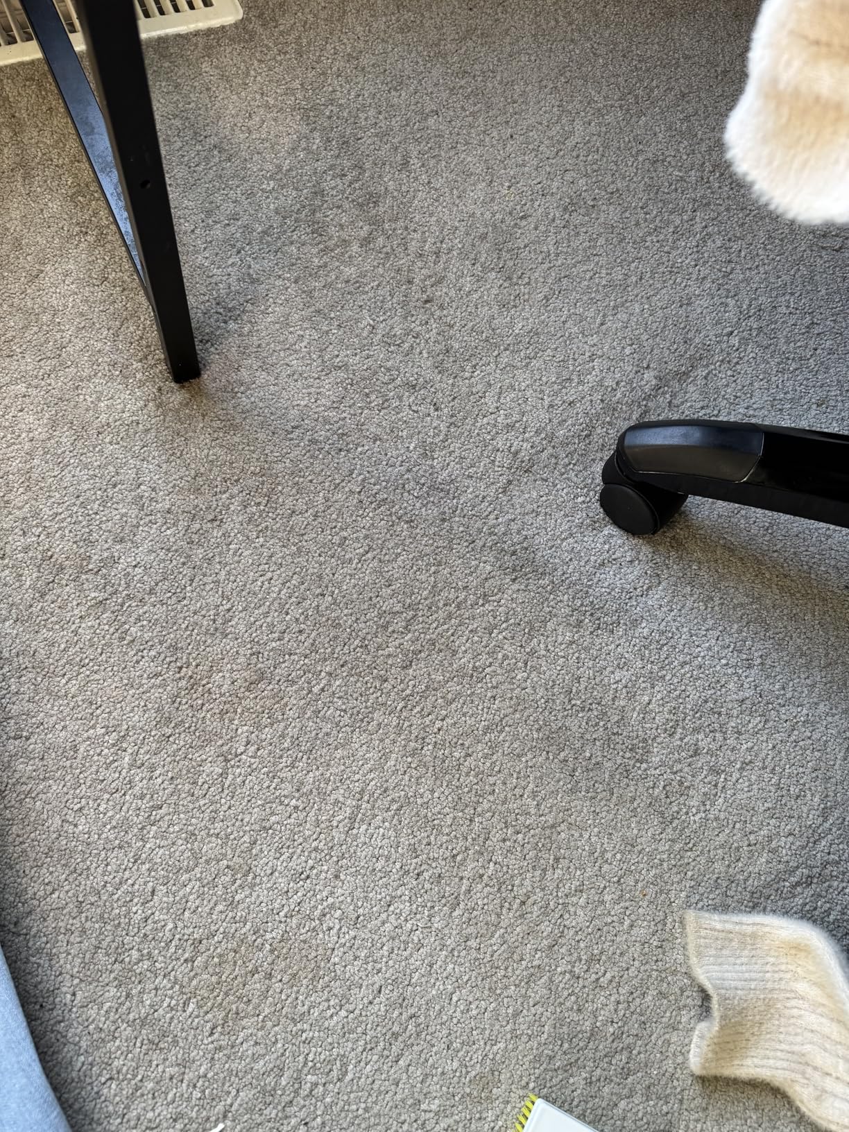 Carbona 2-in-1 Oxy-Powered Carpet Cleaner (13.5 Fl Oz), Spot Cleaner with Dual Sponge & Bristle Applicator customer photo 1