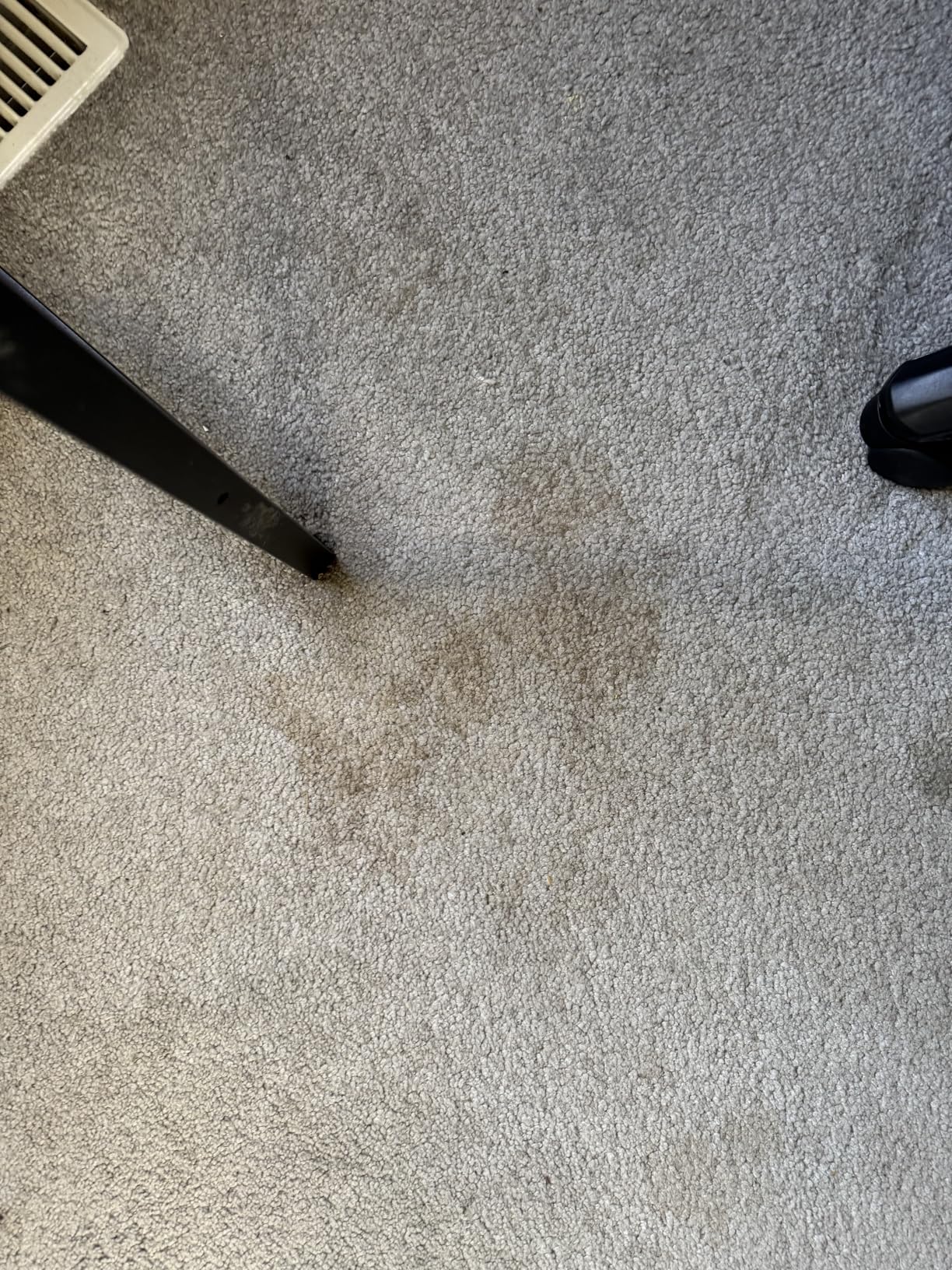 Carbona 2-in-1 Oxy-Powered Carpet Cleaner (13.5 Fl Oz), Spot Cleaner with Dual Sponge & Bristle Applicator customer photo 2