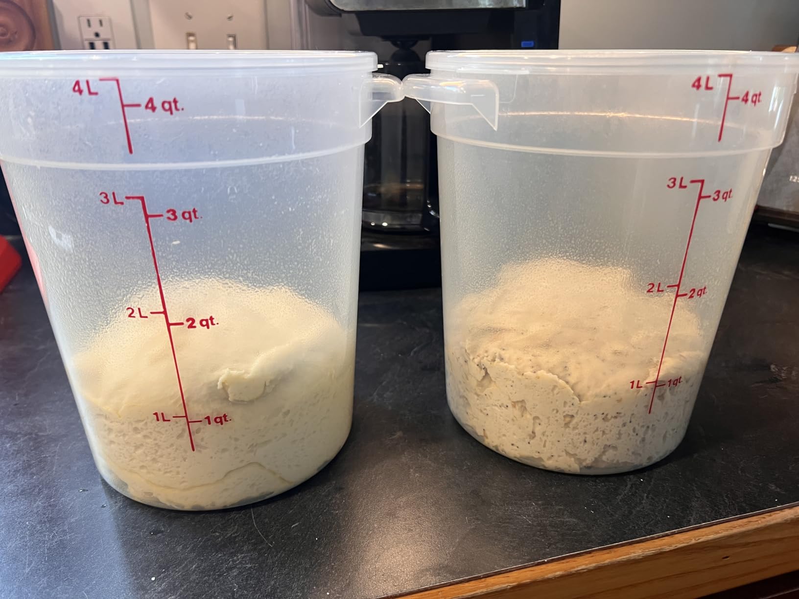 Cambro Food Storage Containers with Lids (BPA-Free) - 4 Quart - Food Grade Buckets with Lids (2 Pack) - For Dough Proofing and Brining (Translucent) customer photo 1