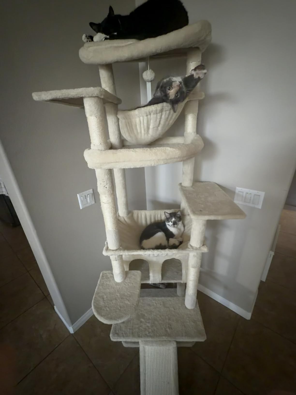 Heybly Cat Tree, 71-Inch-Tall Tower for Indoor Cats with 2 Perches, 2 Big Condos, 2 Hammocks, Basket, Scratching Pad, Large Cat Furniture and Condo, Smoky Gray HCT034G customer photo 1