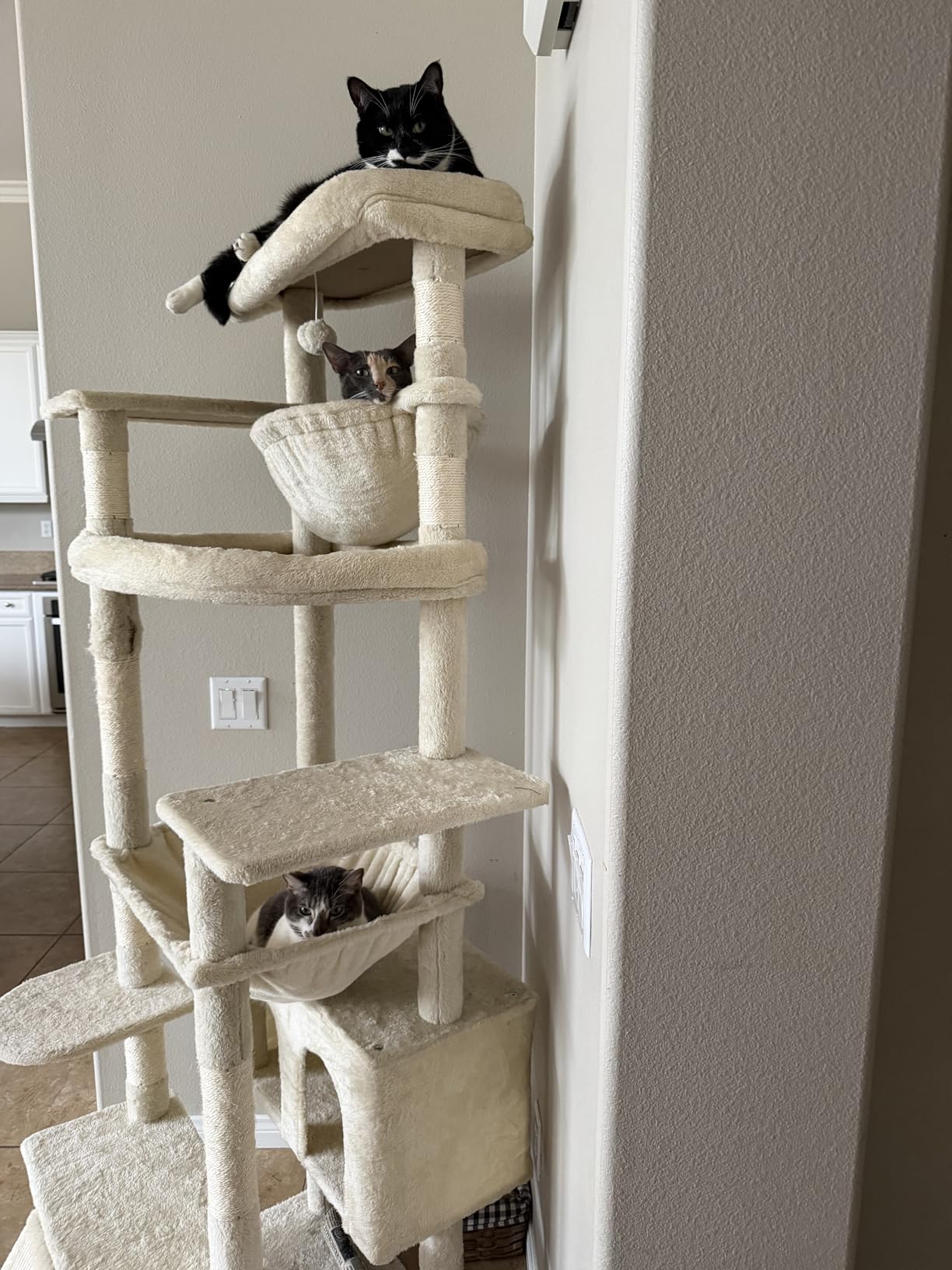 Heybly Cat Tree, 71-Inch-Tall Tower for Indoor Cats with 2 Perches, 2 Big Condos, 2 Hammocks, Basket, Scratching Pad, Large Cat Furniture and Condo, Smoky Gray HCT034G customer photo 2
