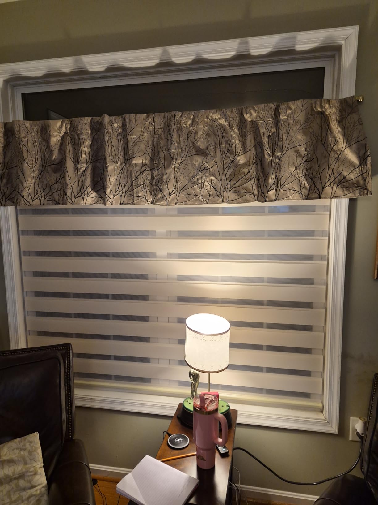 ChrisDowa Cordless Zebra Blinds for Windows, Dual Layer Free-Stop Light Filtering Window Roller Shades, Pull Down Privacy Zebra Shades for Home, Office, Bedroom, Door (35