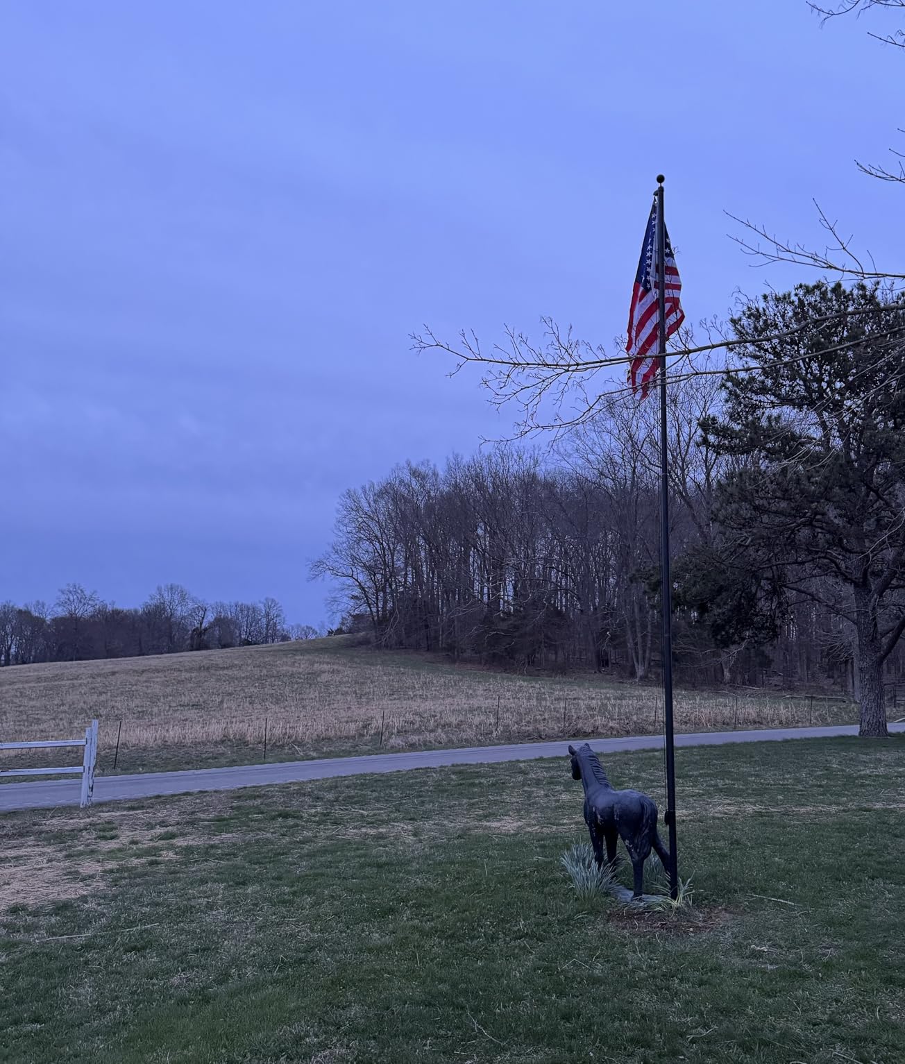 20FT Heavy Duty Flag Pole, 12-Gauge Aluminum, 100MPH Wind Tested | Extra Thick Residential & Commercial Flagpole Kit for Outside House - Includes USA Flag & All Hardware to Fly Two Flags customer photo 1