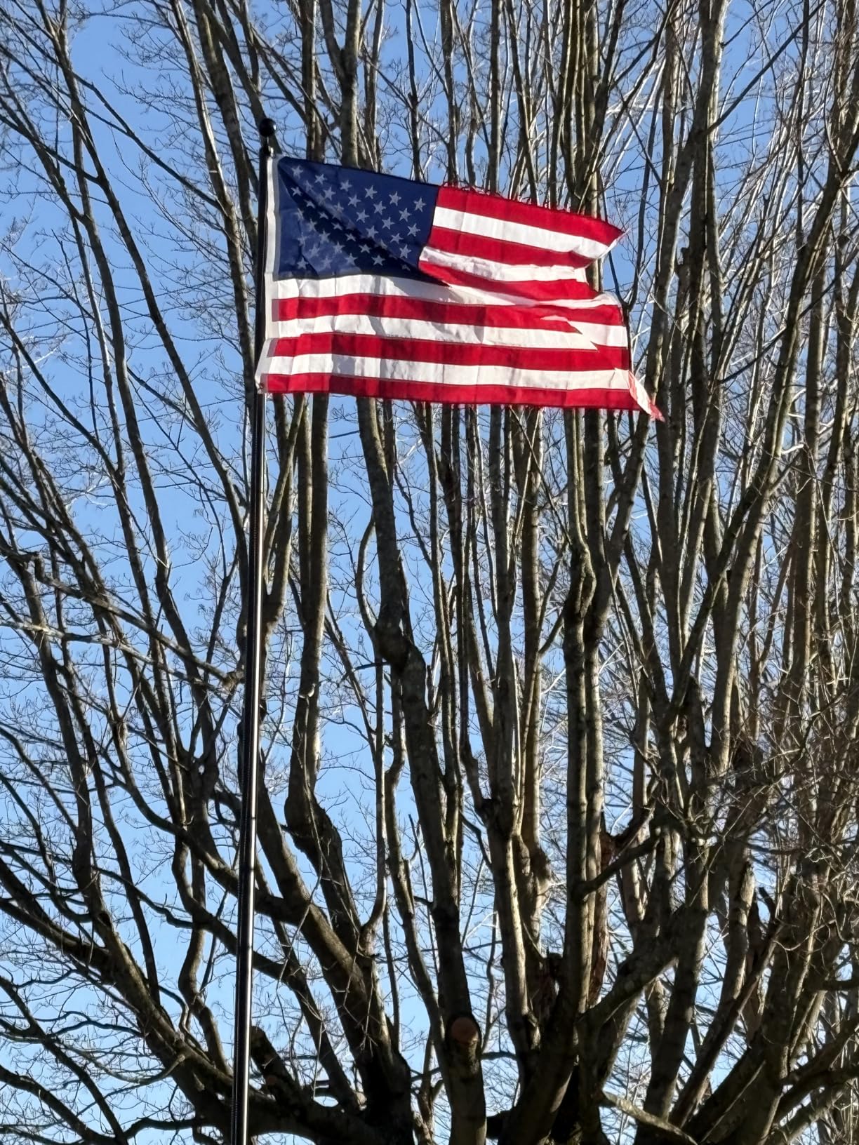 20FT Heavy Duty Flag Pole, 12-Gauge Aluminum, 100MPH Wind Tested | Extra Thick Residential & Commercial Flagpole Kit for Outside House - Includes USA Flag & All Hardware to Fly Two Flags customer photo 2