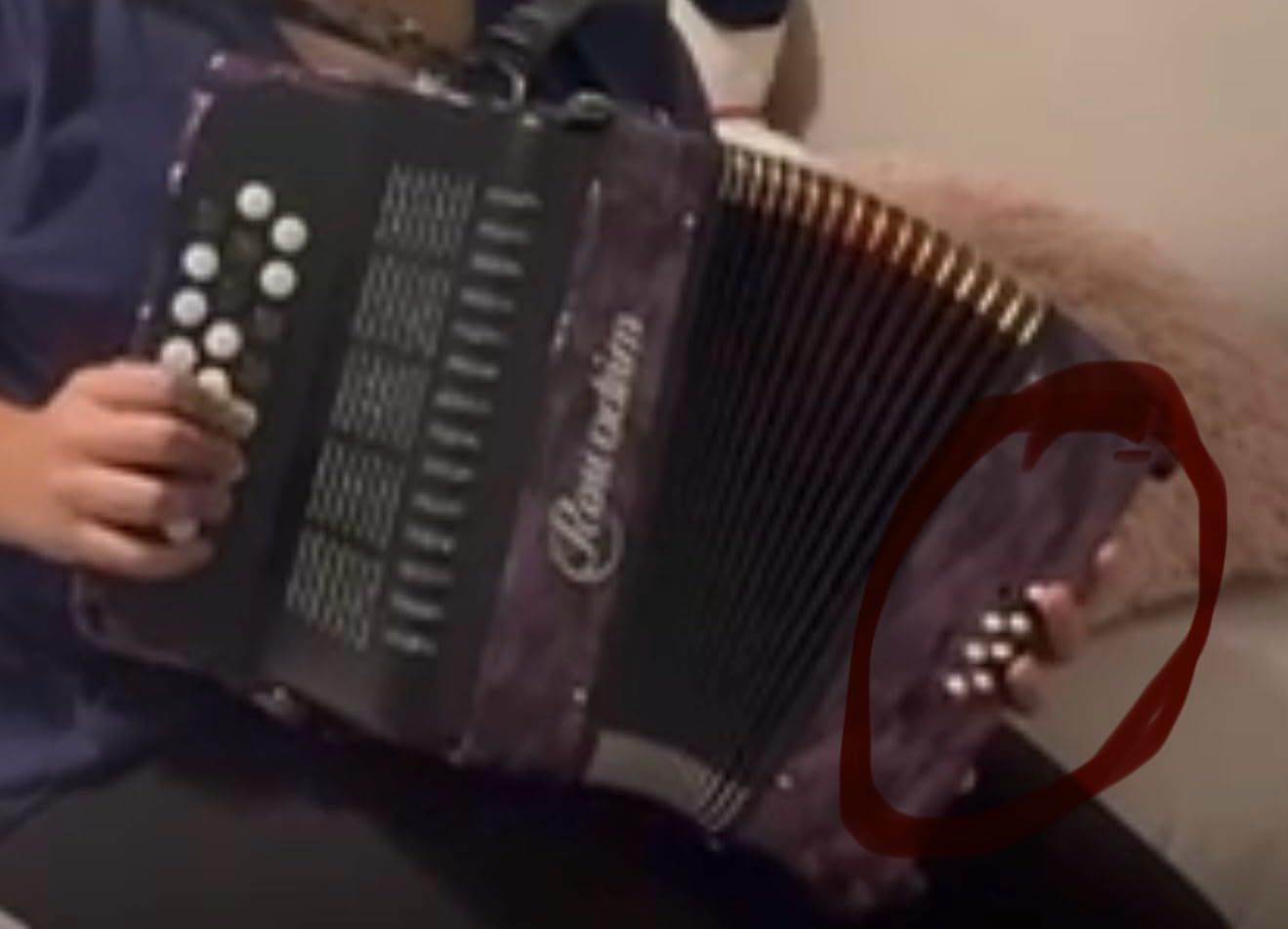 22 Keys 8 Bass Student Piano Accordion for Beginners and Students (Red) customer photo 2