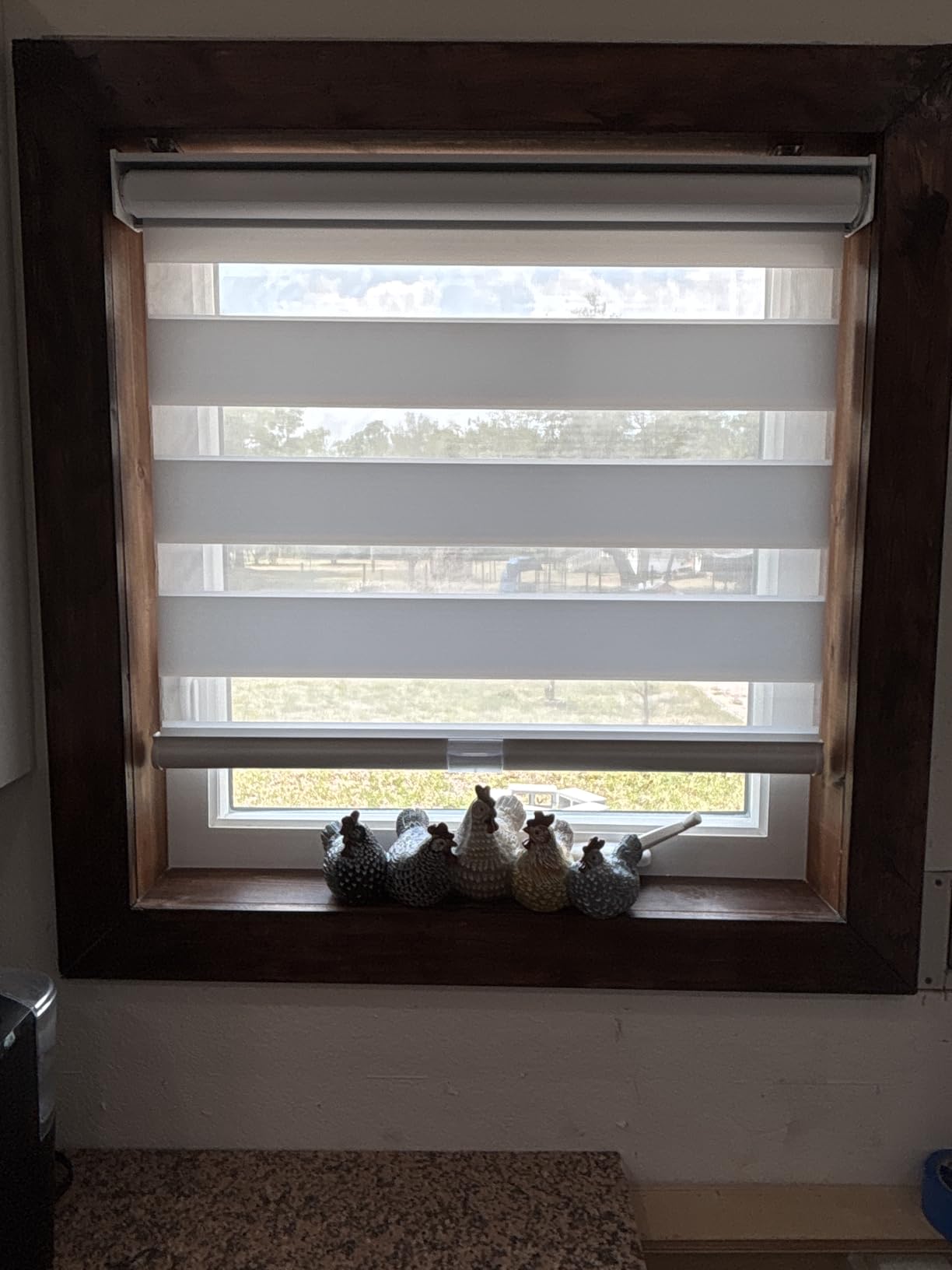 AOSKY Cordless Zebra Blinds for Windows Pull Down Roller Window Shades Dual Layer Light Filtering Privacy for Day and Night, Free-Stop Door Shades for Home Easy to Install (34