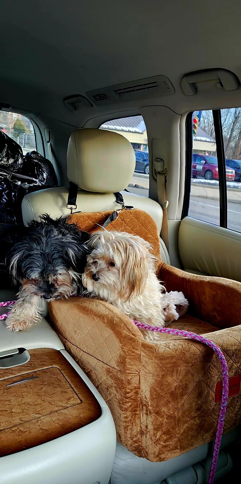 Lealchum Dog Booster Car Seat for Small/Medium Dogs Up to 35lbs, Soft 6in Elevated Cushion, Fits in Front/Back Seat, Fully Detachable and Washable, 2 Storage Pockets & 3 Straps, Easy to Install (Black/Brown, Medium) customer photo 2