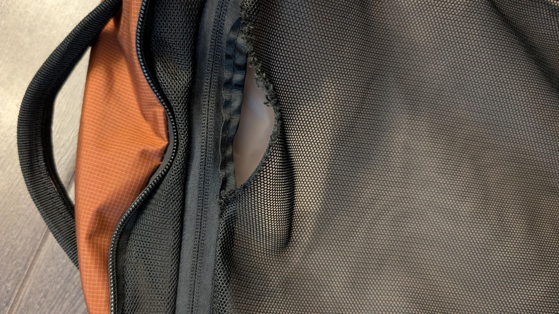Bellroy Lite Travel Pack 30L (carry-on backpack, travel backpack for international travelers, with laptop pocket, interior packing cells and tuck-away shoulder straps) - Ash customer photo 1