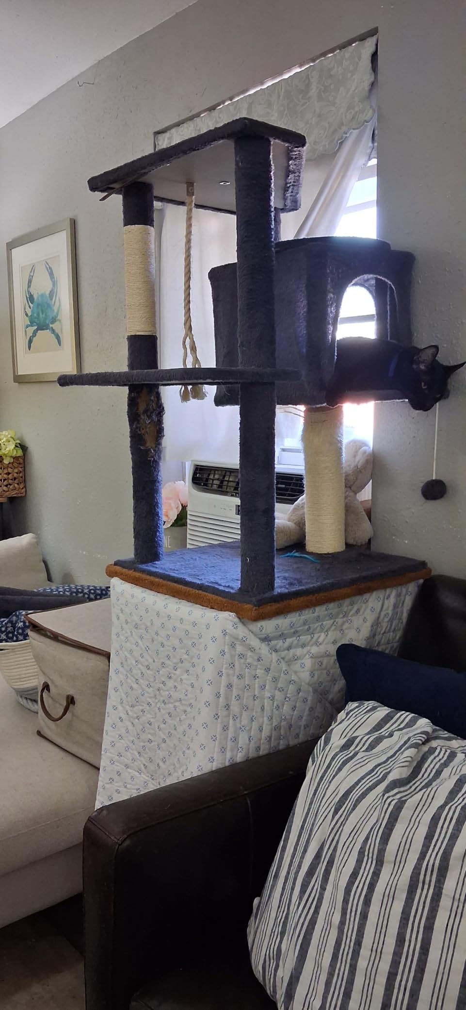 58.5inch Large Cat Tree Tower Condo for Indoor Cats, Soft Plush Multi-Level Climbing Tree Cat House with 1 360° Rotating Cat Cave, Scratching Post, More Entrance/Exit, Sisal Rope, Grey Black customer photo 1