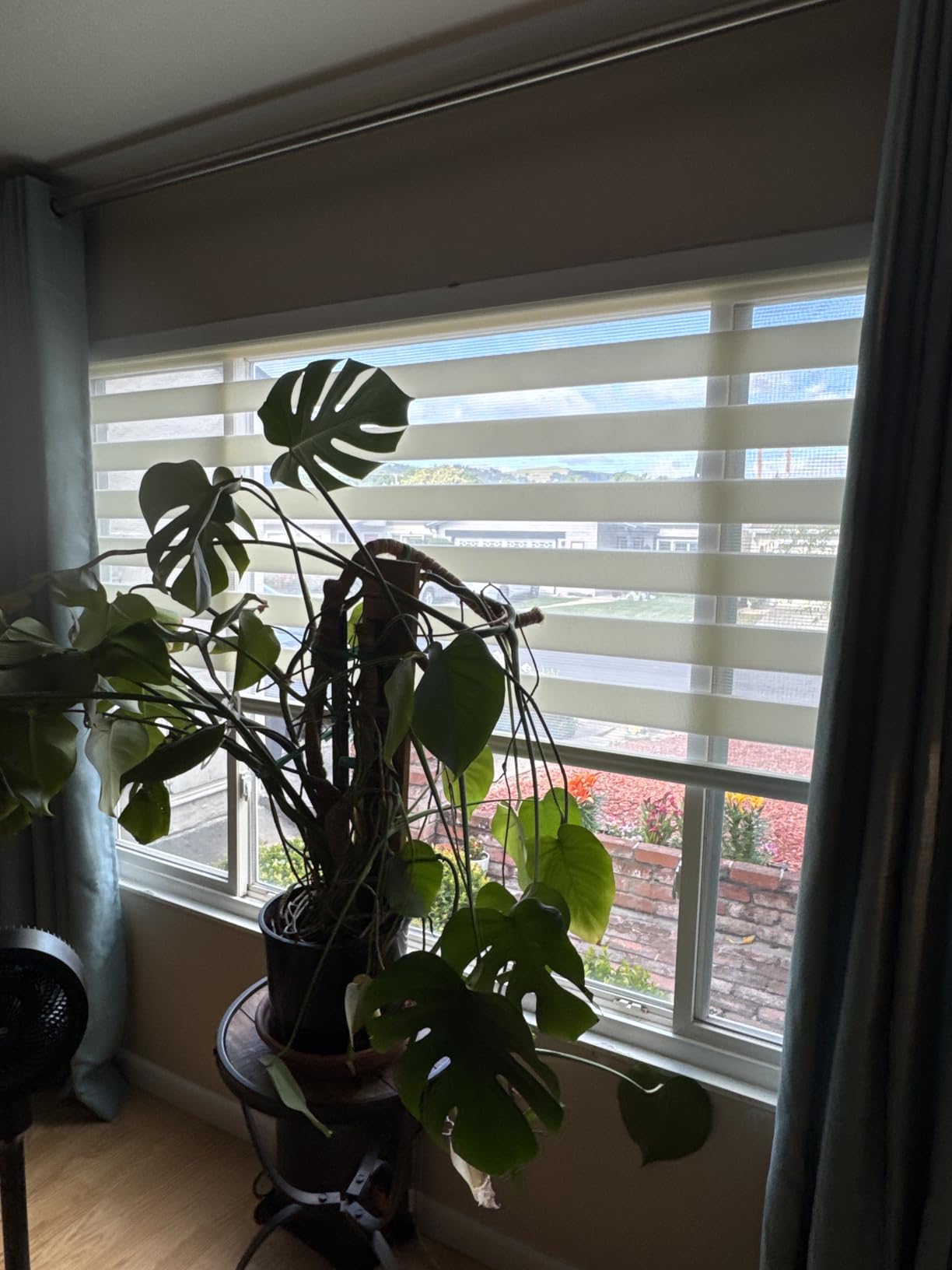 Foiresoft Custom Zebra Blinds for Windows, Light Filtering Day Night Dual Layer Blinds for Home & Office, Adjustable Privacy, Made to Order for Inside or Outside Mount customer photo 1
