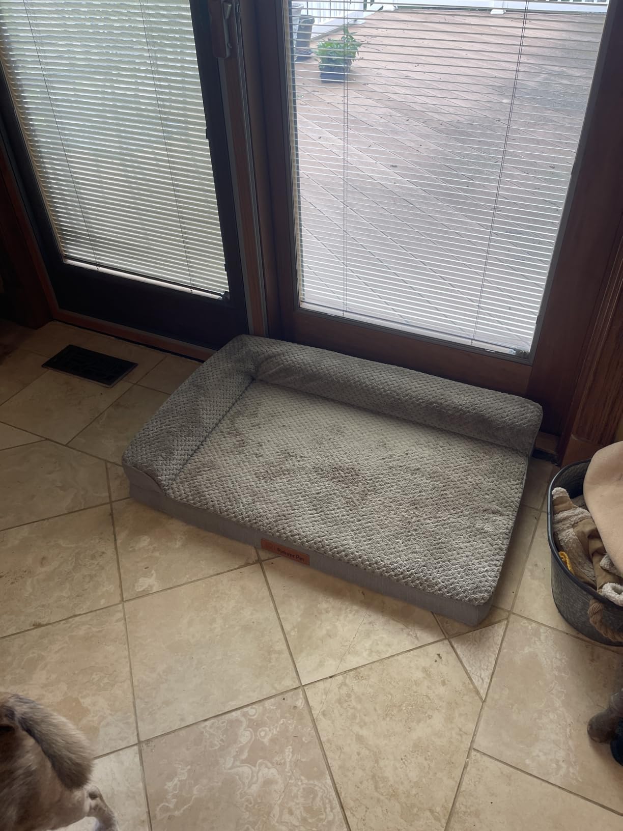 Rainmr Orthopedic Dog Bed for Small and Medium Dogs, Memory Foam Pet Bed with Washable Removable Cover, Nonskid Bottom, Waterproof, for Indoor, Outdoor, Crate & Car Use, 30x20x6 Inches, Light Grey customer photo 2