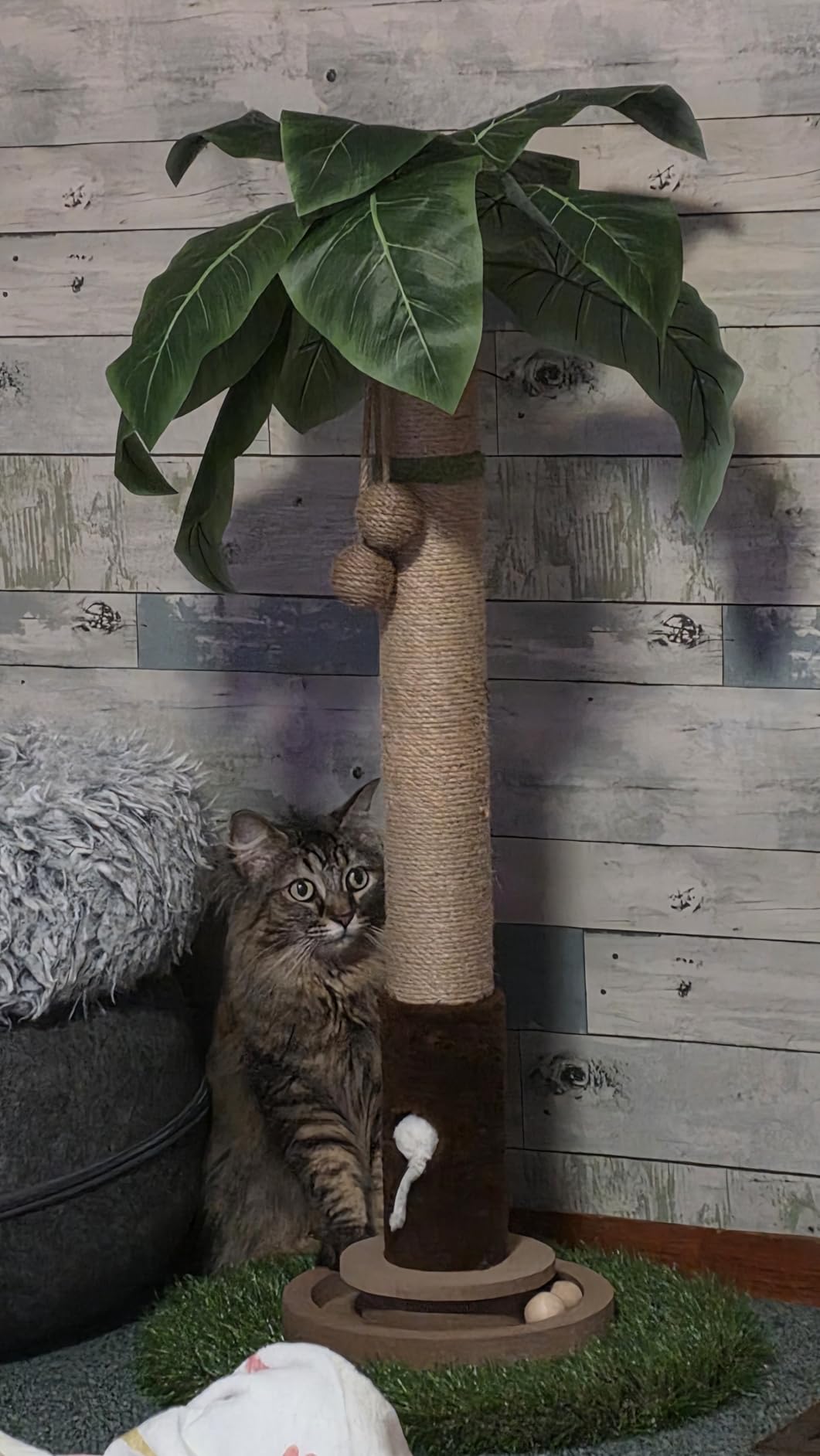 Woochpet Cat Scratching Post 35'' Tall Cat Scratcher Tree Tower Scratching Posts for Indoor Cats with Cat Toy Mouse Hole and Interactive Wooden Ball for Kittens Adults Cats customer photo 2
