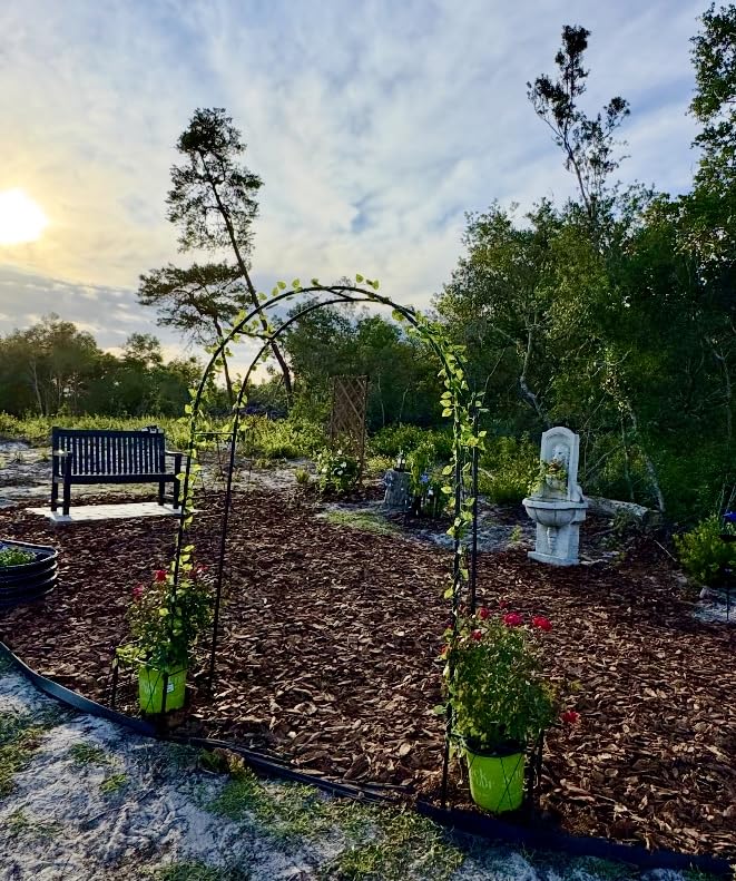 Garden Arch Arbor Trellis with Planter Boxes 8.2 Ft Metal Arch Trellis for Climbing Plants Outdoor, Wedding Arches Backdrop Stand for Ceremony, Halloween, Christmas, Decorations Pergola, Black customer photo 1