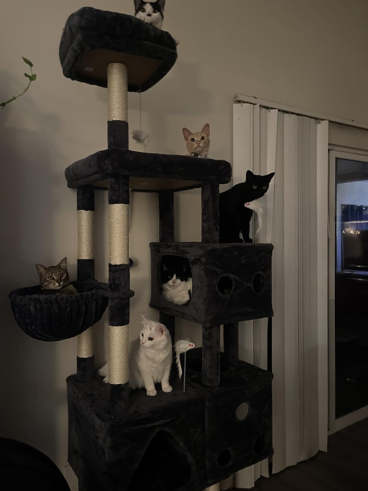 Globlazer Extra Large Cat Tower, 81-inch Tall Cat Tree for Big Cats 20 lbs, XXL Heavy Duty Cat Scratching Tower for Indoor Adult Cats with 3 Cat Condos, 8 Scratching Posts, F81, Dark Grey customer photo 1