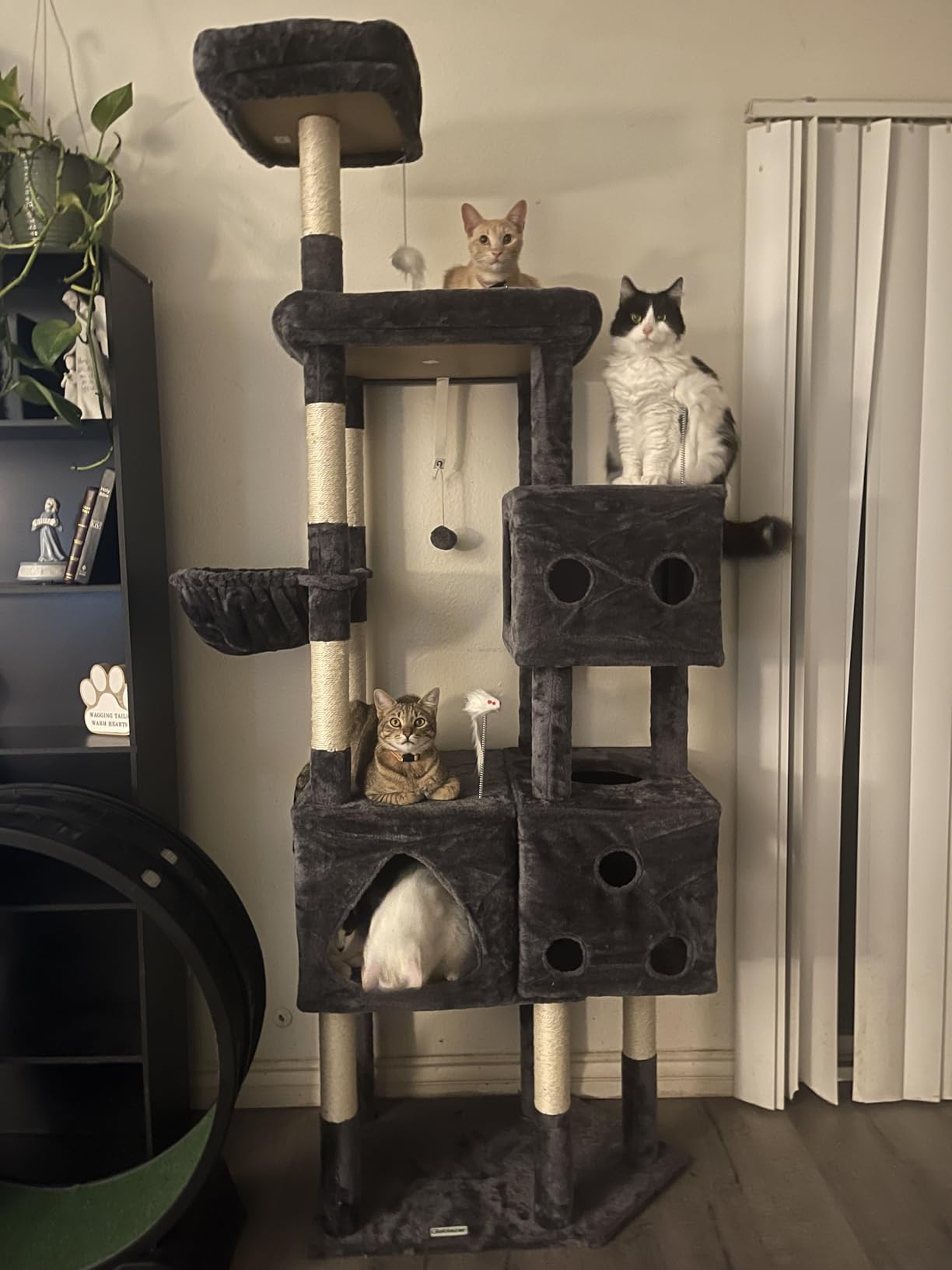 Globlazer Extra Large Cat Tower, 81-inch Tall Cat Tree for Big Cats 20 lbs, XXL Heavy Duty Cat Scratching Tower for Indoor Adult Cats with 3 Cat Condos, 8 Scratching Posts, F81, Dark Grey customer photo 2