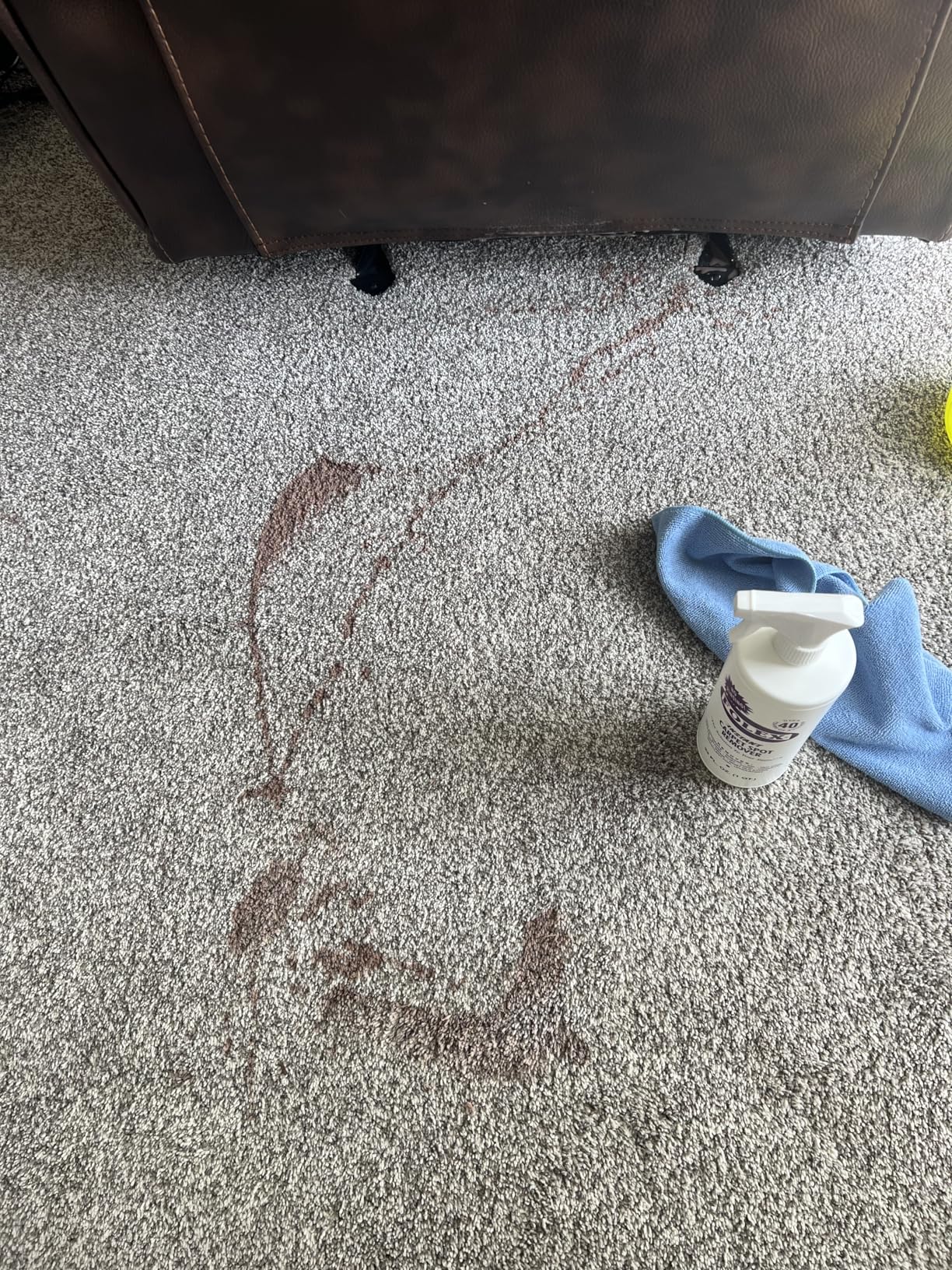 FOLEX Instant Carpet Spot Remover 128 oz - Powerful Stain Remover for Carpets, Upholstery & Rugs with Reusable Cleaning Cloth customer photo 1