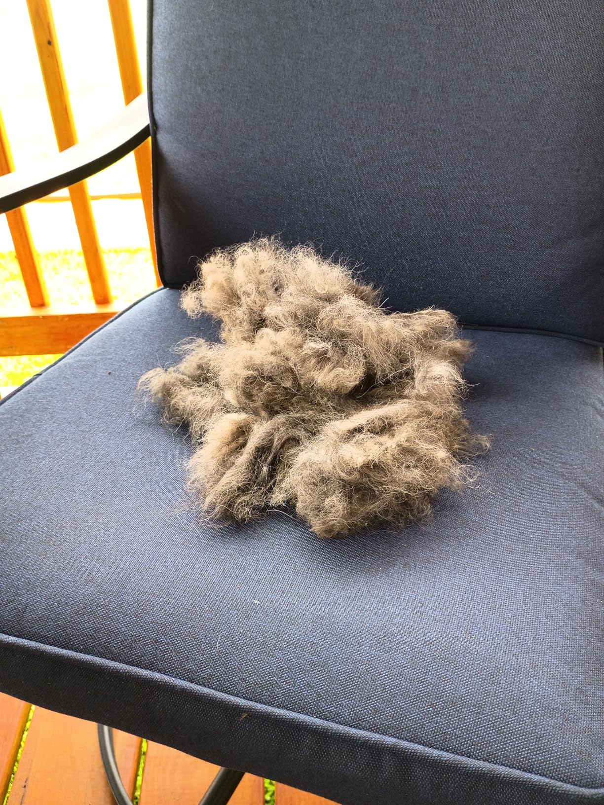 Pat Your Pet Deshedding Dog Brush For Shedding - Cat Brushes For Indoor Cats, Double-Sided Cat Brush Deshedding & Grooming Tool For Long Haired And Short Haired Dogs, Skin-Friendly customer photo 1