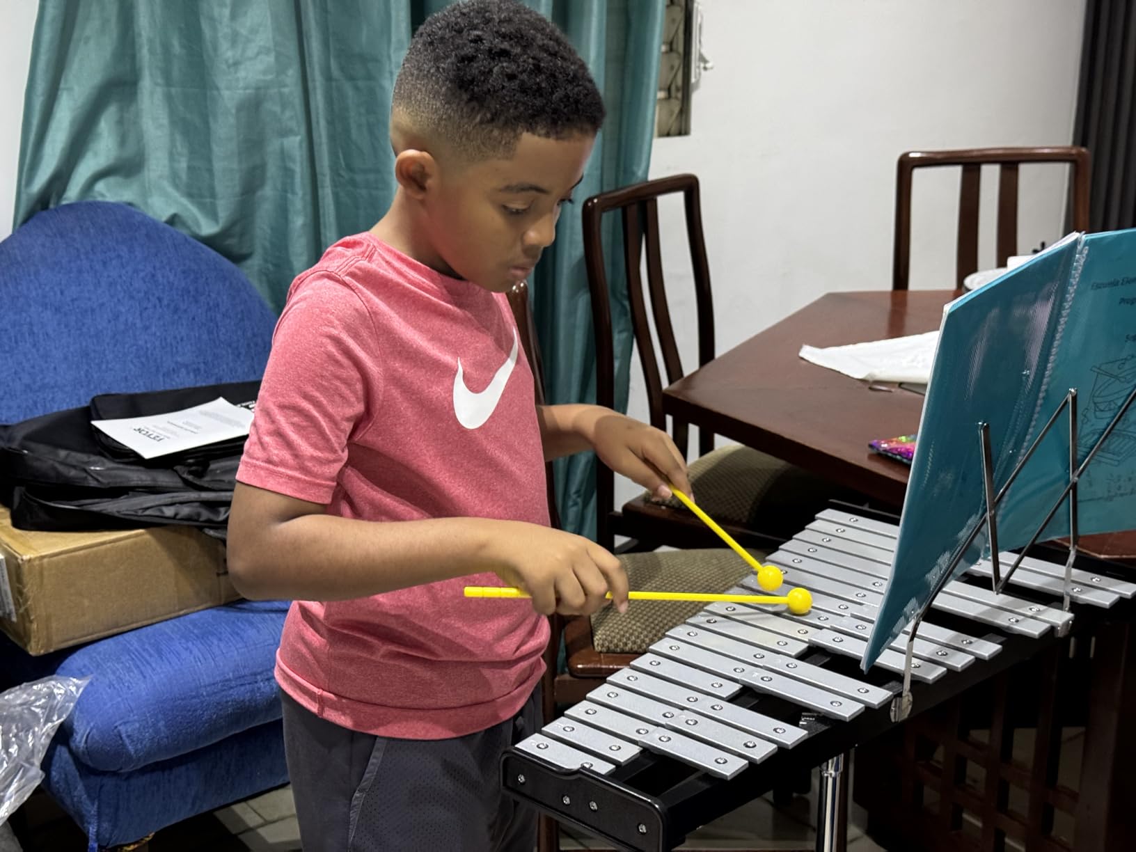 VEVOR Glockenspiel Xylophone, 37 Notes, Wooden Professional Xylophone Percussion Instrument, with Height Adjustable Stand, 4 Mallets, Carrying Bag, Beginner Musical Instrument Kit for Adults and Kids customer photo 1