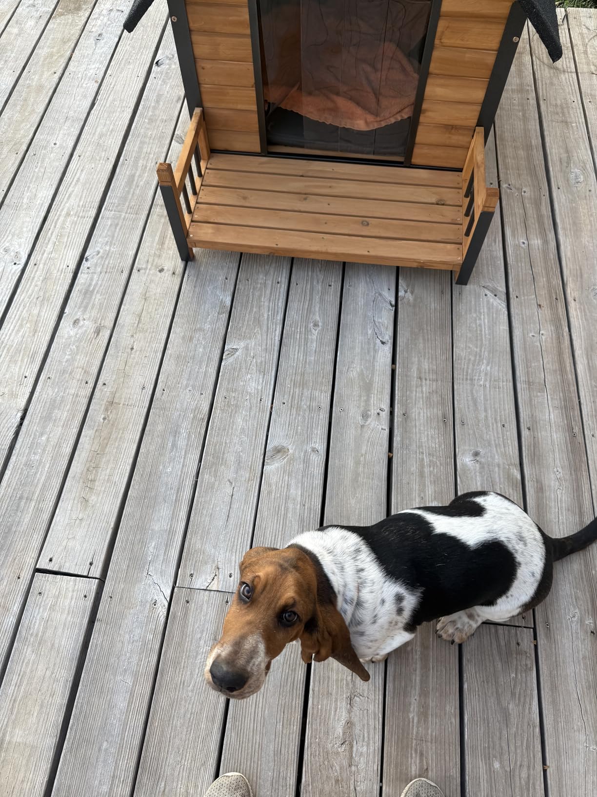 GUTINNEEN Heated Dog House Outdoor with Heating Pad and Insulated Liner, Wooden Dog Kennel with Anti-Chewing Metal Frame, Weatherproof Dog Shelter with Bowls for Outdoor or Indoor Use (Brown) customer photo 2