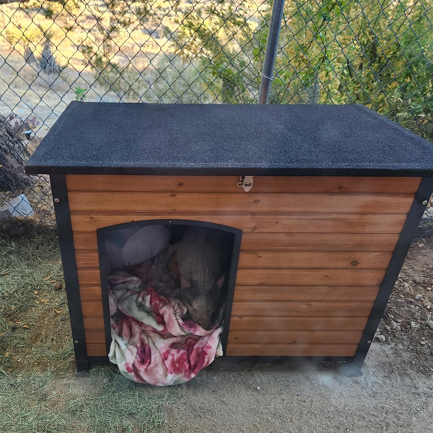 Heated Dog House Outdoor Insulated Dog Kennel for Small Medium Large Dogs, Iron Frame Dog Shelter for Outside, Waterproof Roof Raised Feet Brown customer photo 2