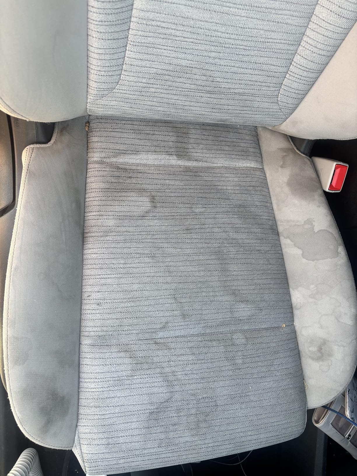 Carpet Cleaner Machine Upholstery - 450W Shampooer Couch Cleaning Portable Vacuum customer photo 1